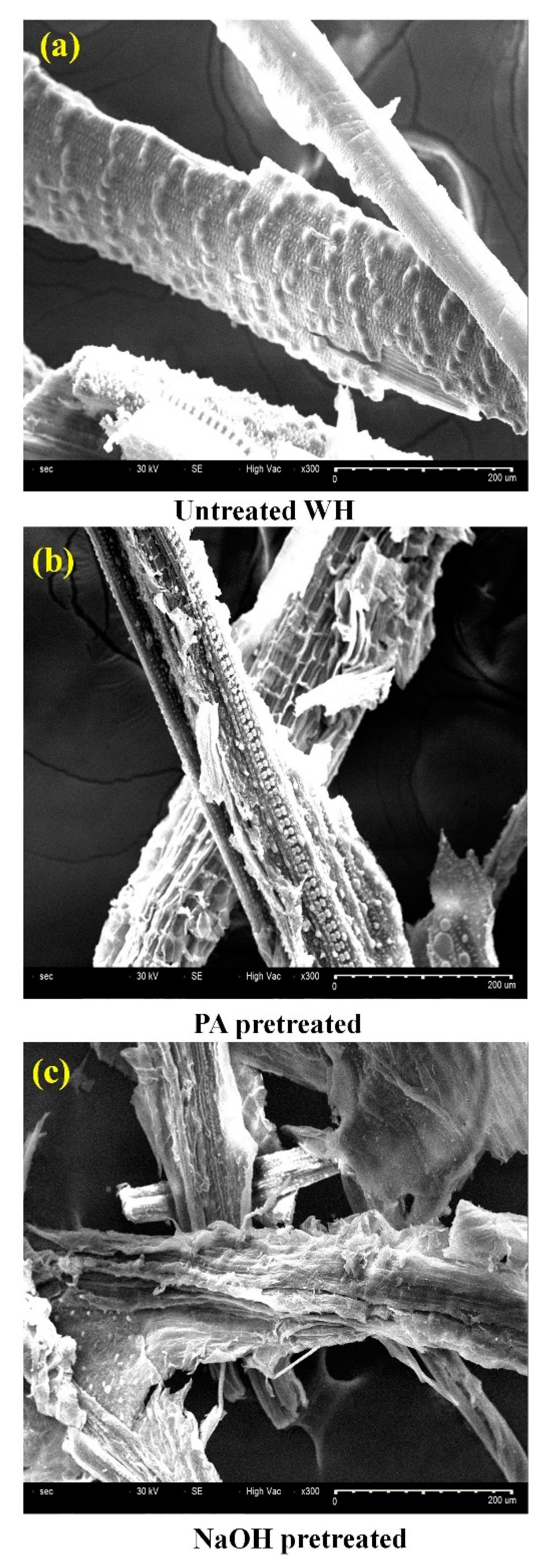 Polymers 12 01704 g003