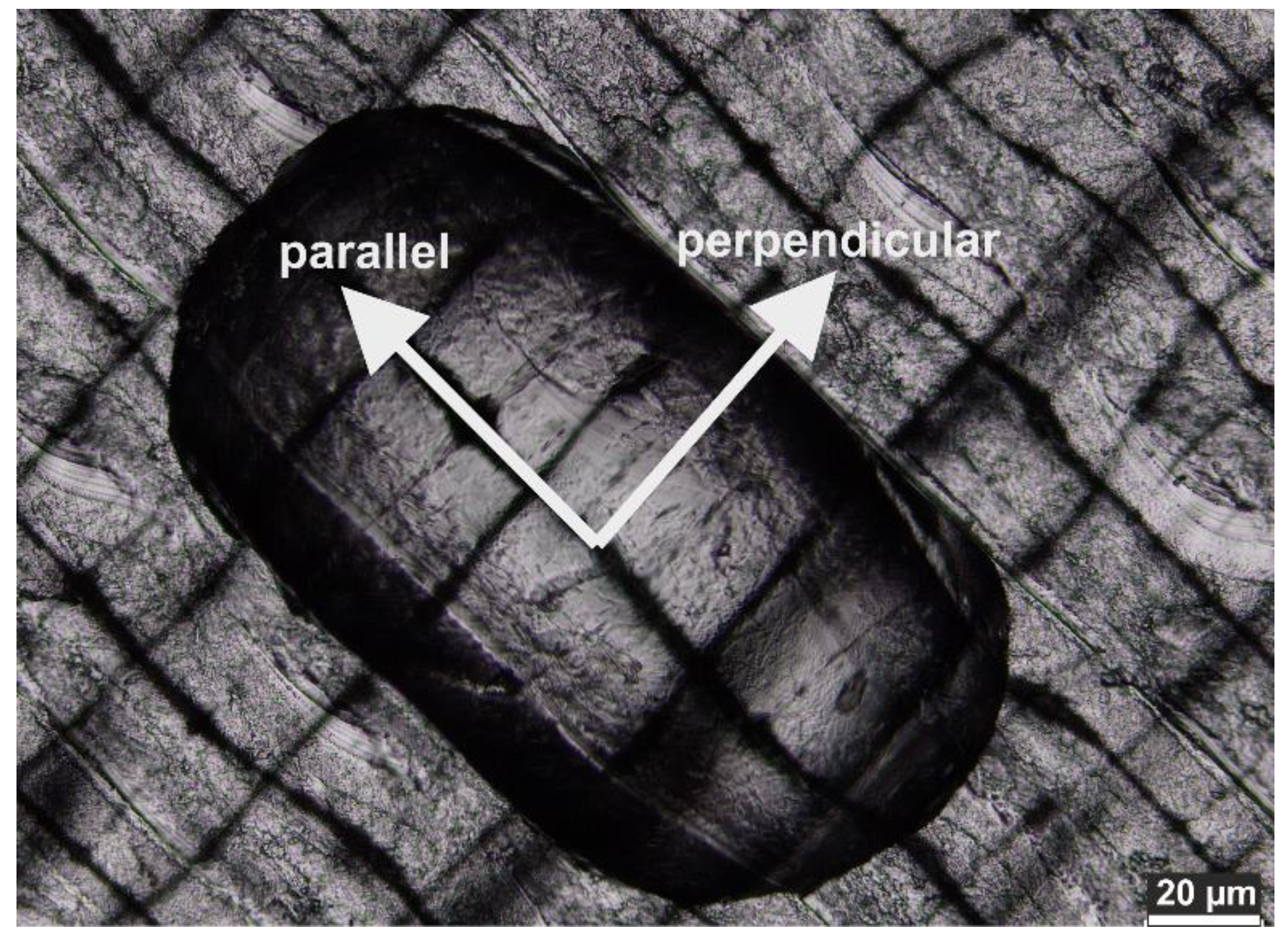Polymers 12 01711 g006