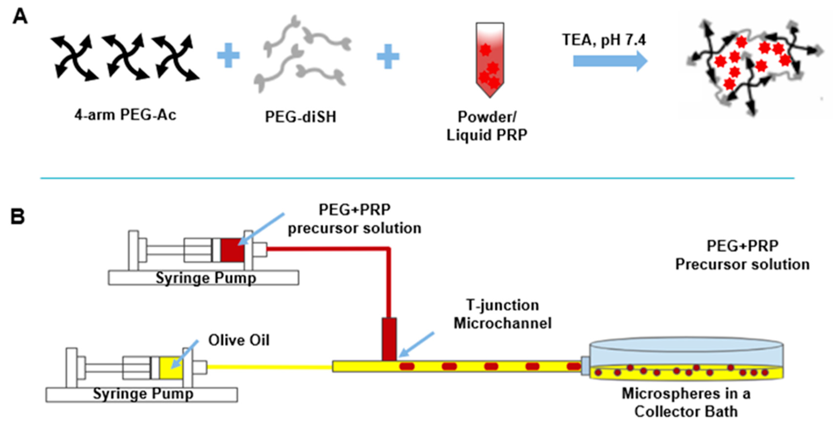 Polymers 12 01712 g002 Polymers 12 01712 g002