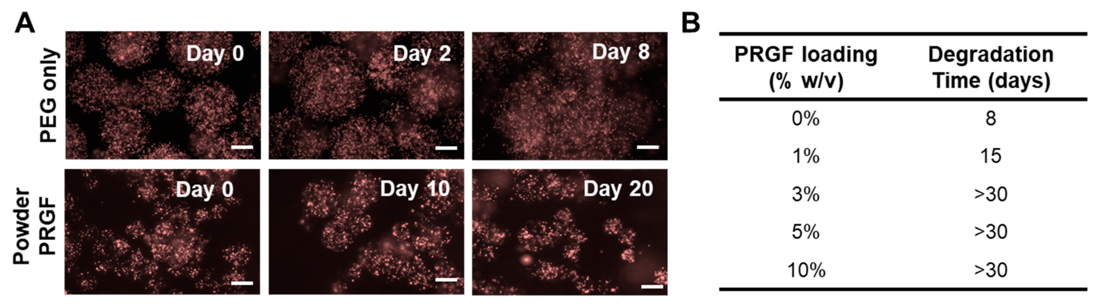 Polymers 12 01712 g006 Polymers 12 01712 g006