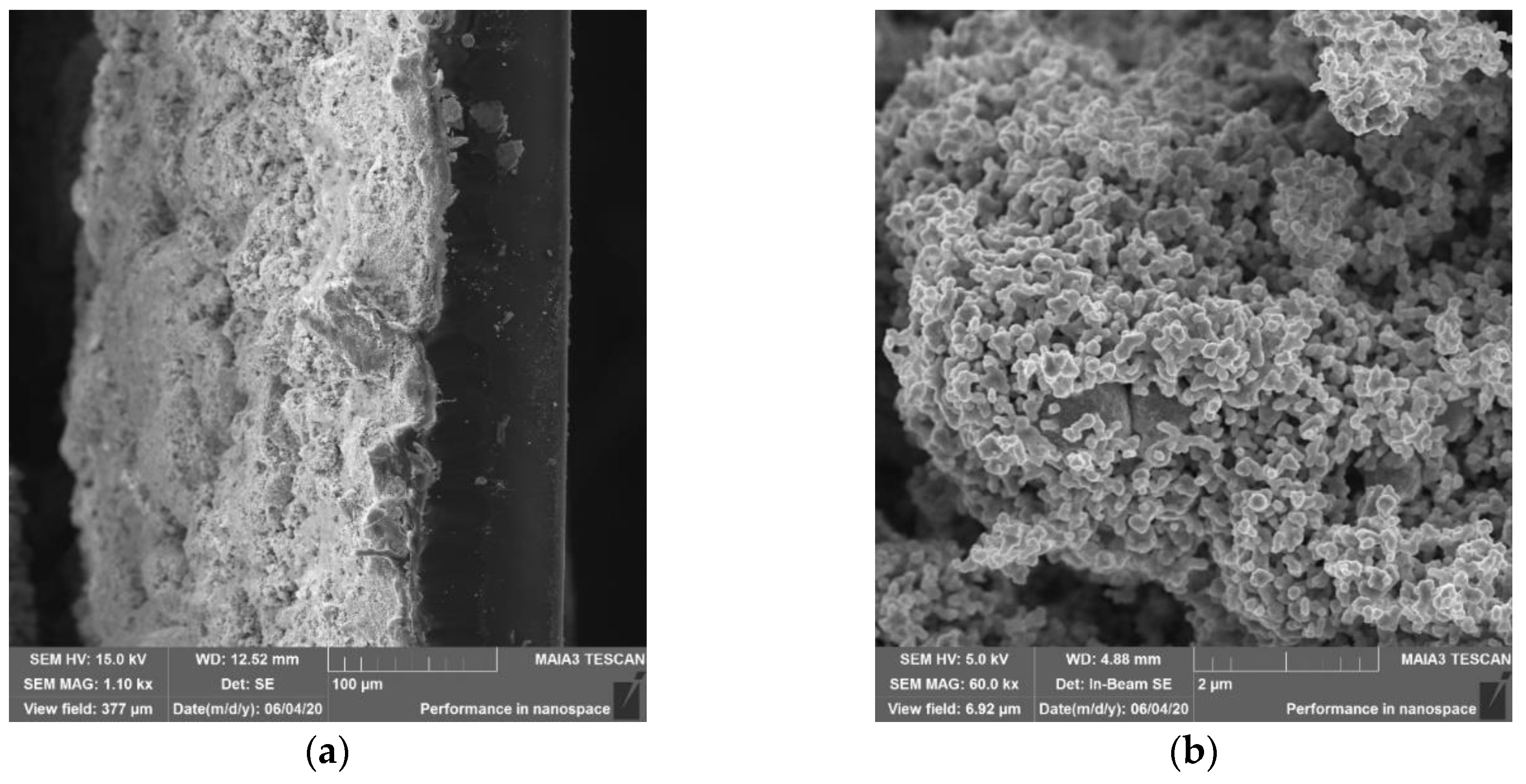 Polymers 12 01713 g001a Polymers 12 01713 g001a