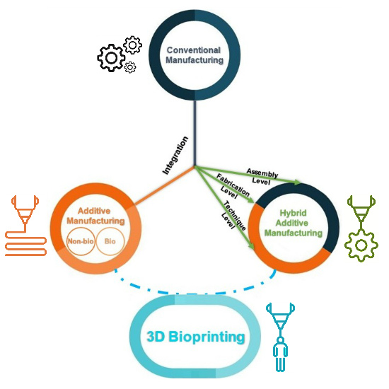 3d bioprinting pros and cons