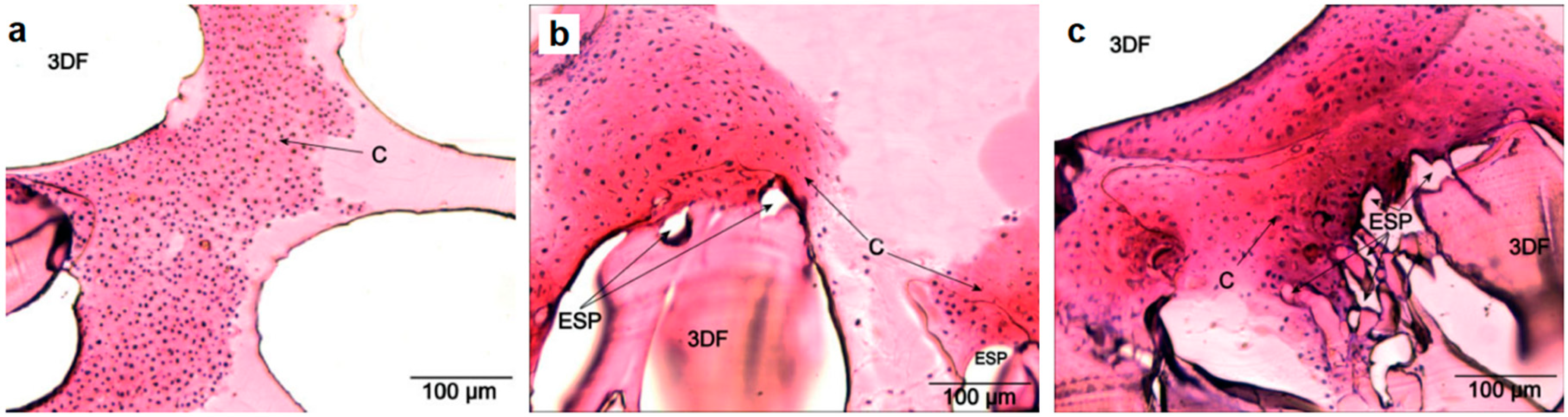 Polymers 12 01717 g004