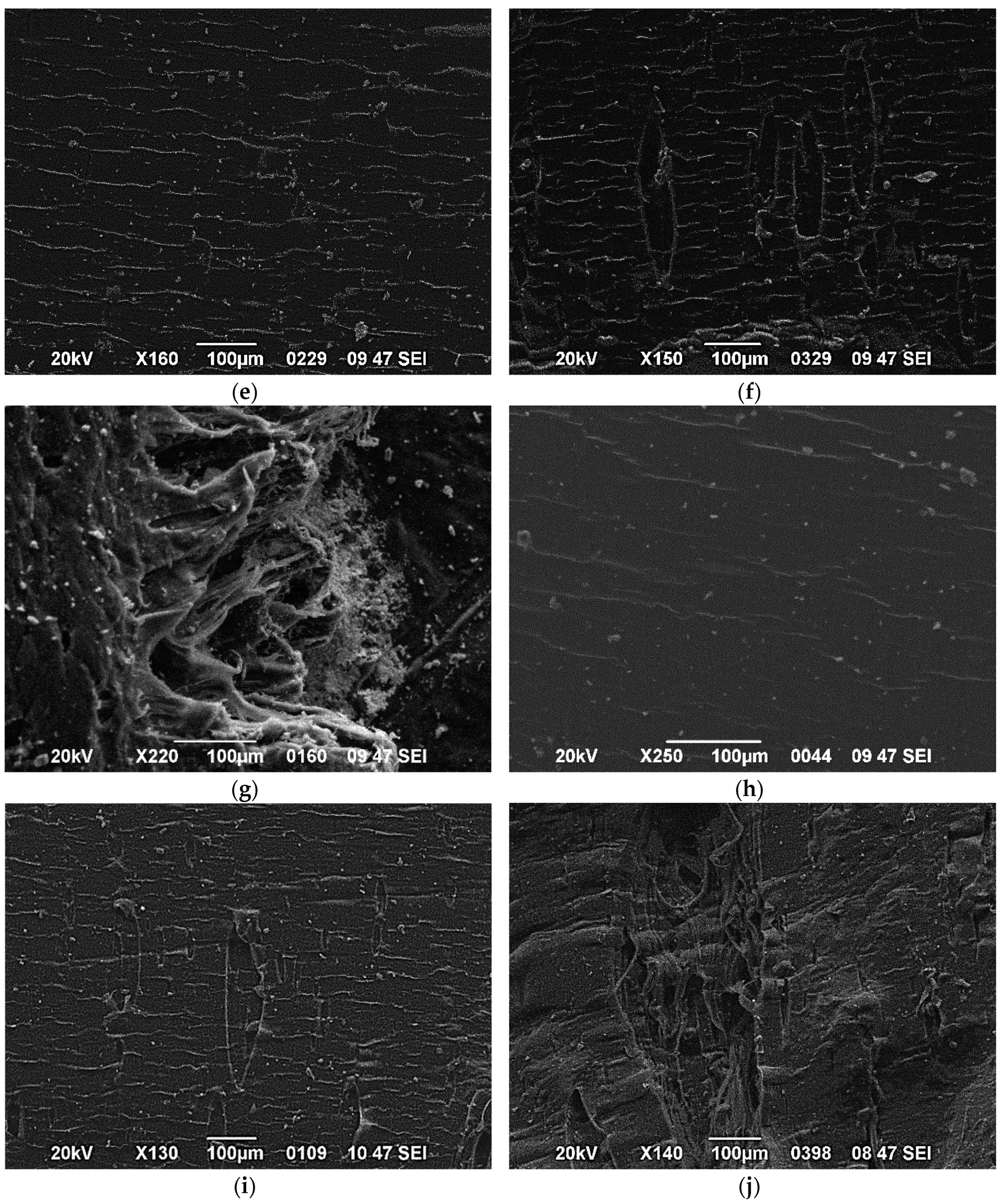 Polymers 12 01719 g010b Polymers 12 01719 g010b