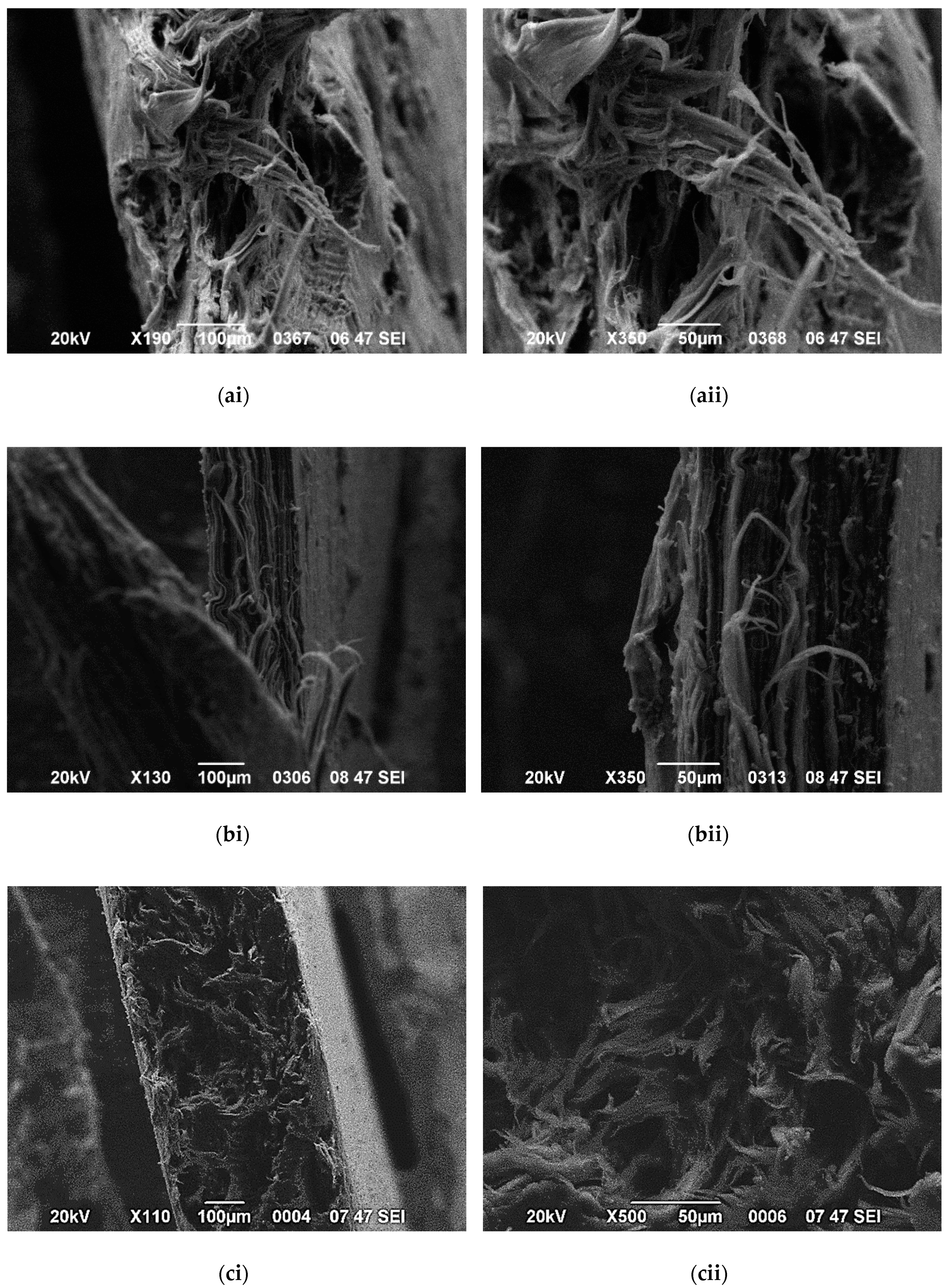 Polymers 12 01719 g012 Polymers 12 01719 g012