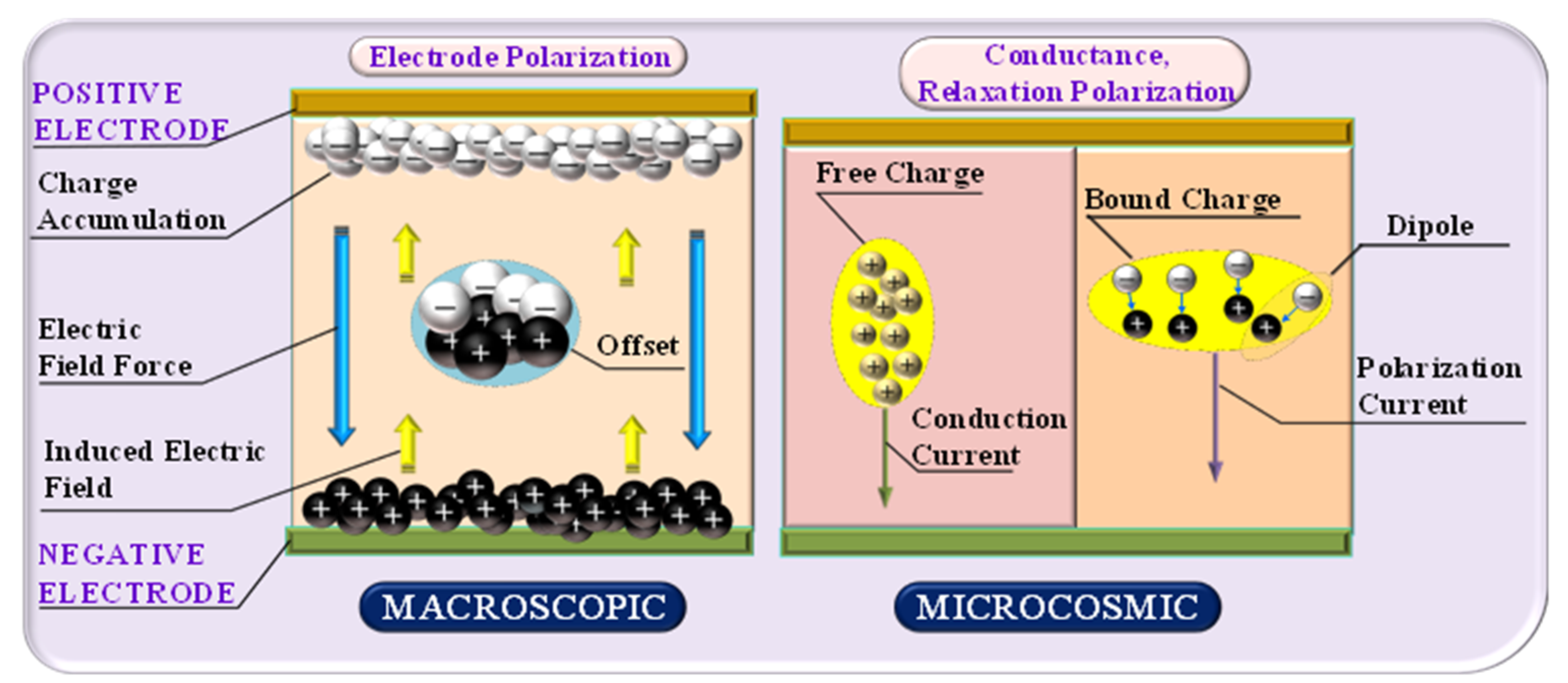 Polymers 12 01722 g001