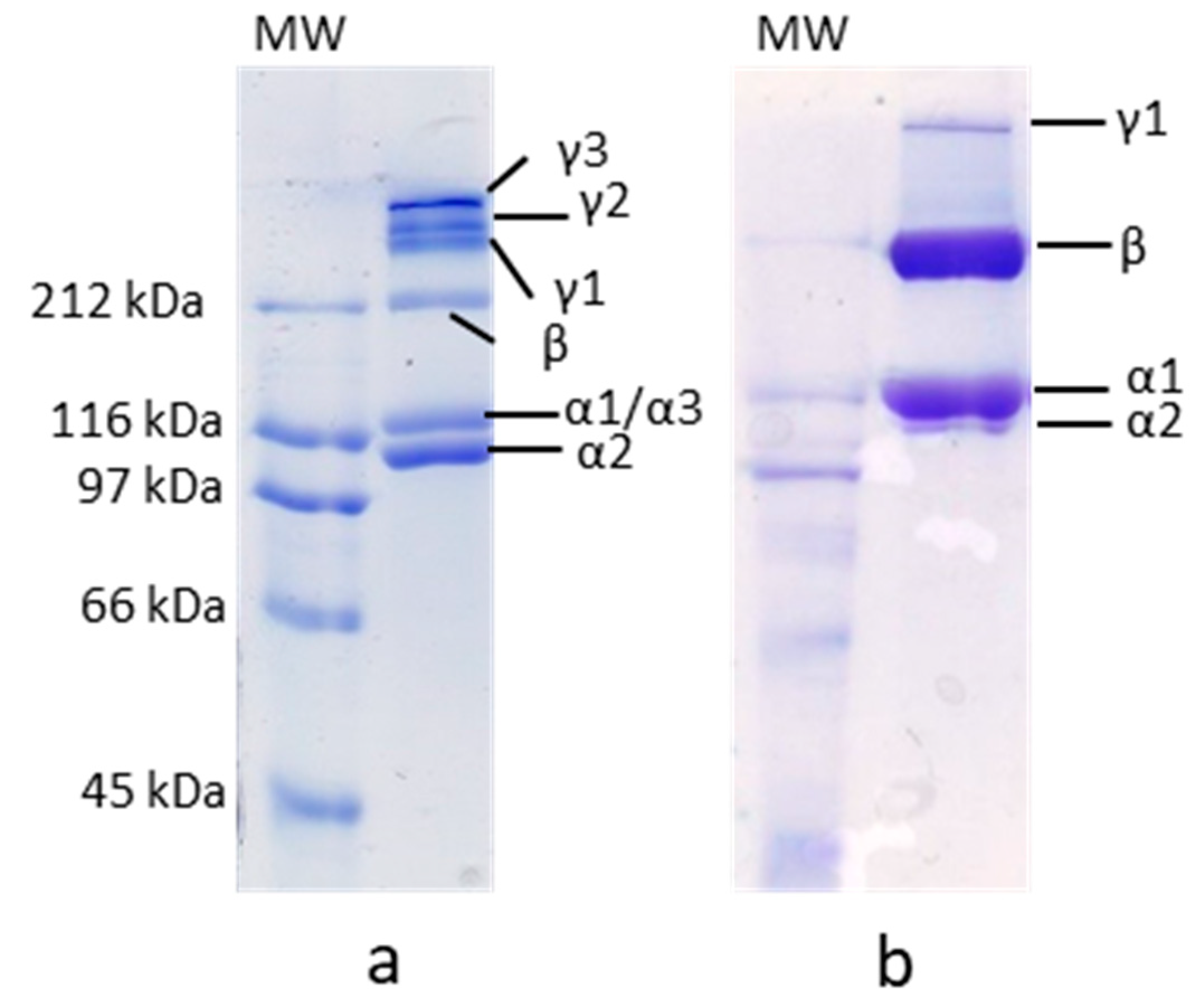 Polymers 12 01734 g002