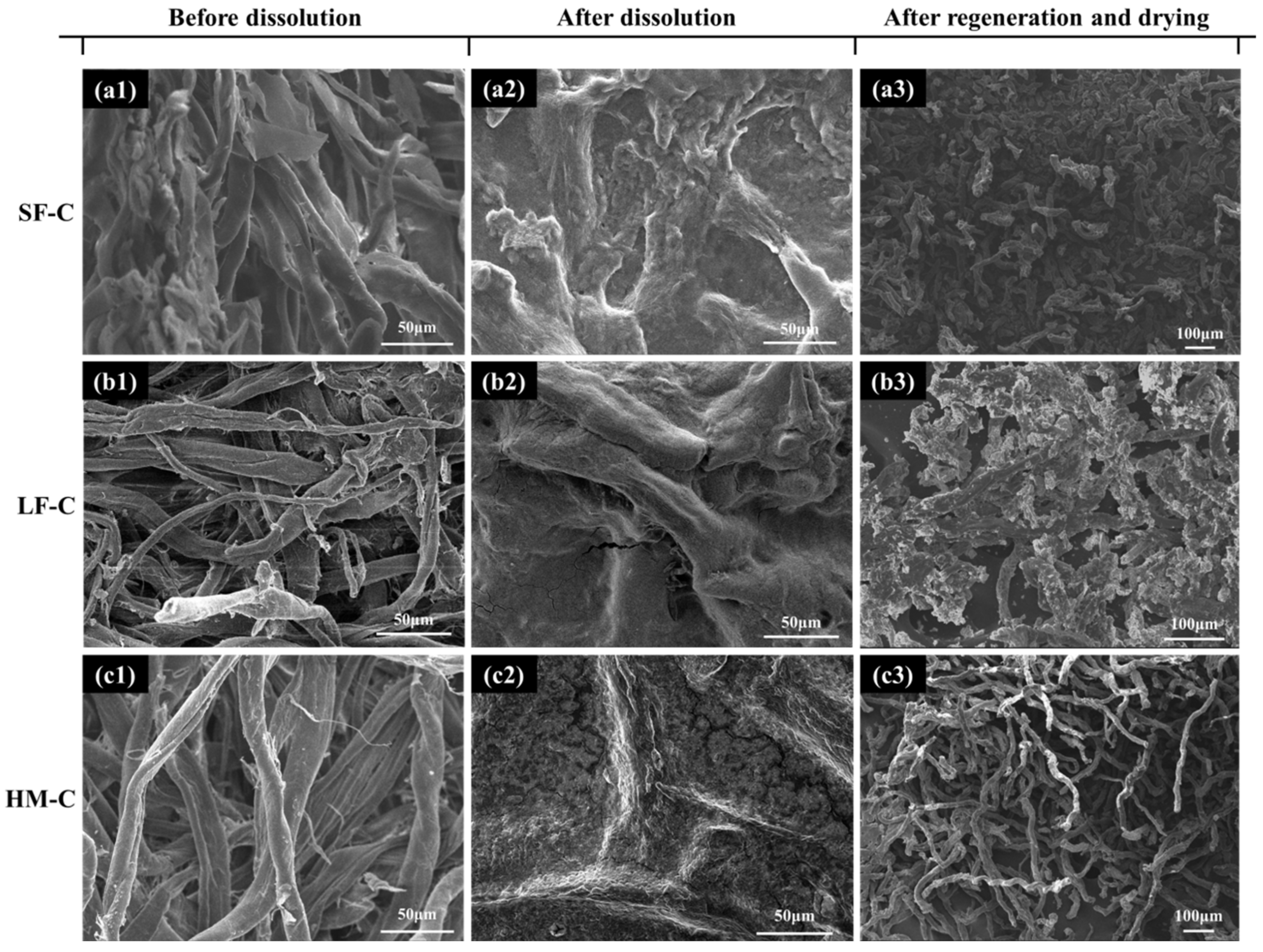 Polymers 12 01735 g002