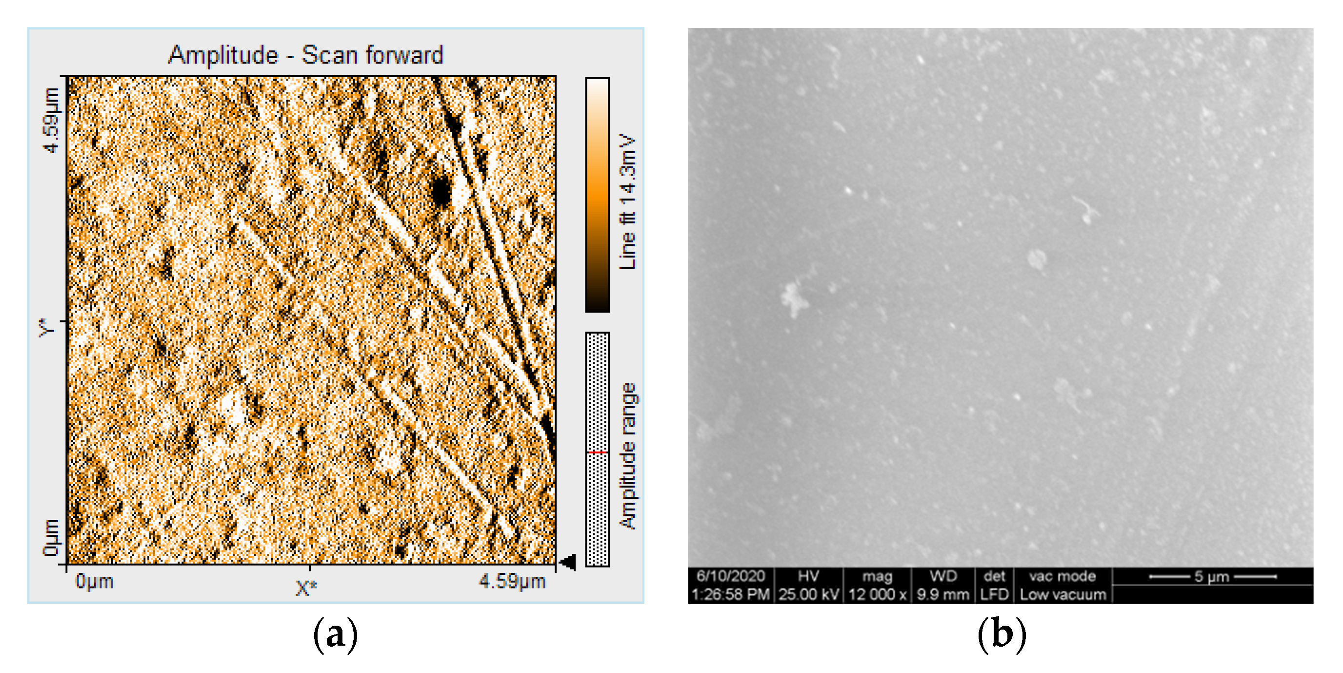 Polymers 12 01736 g018