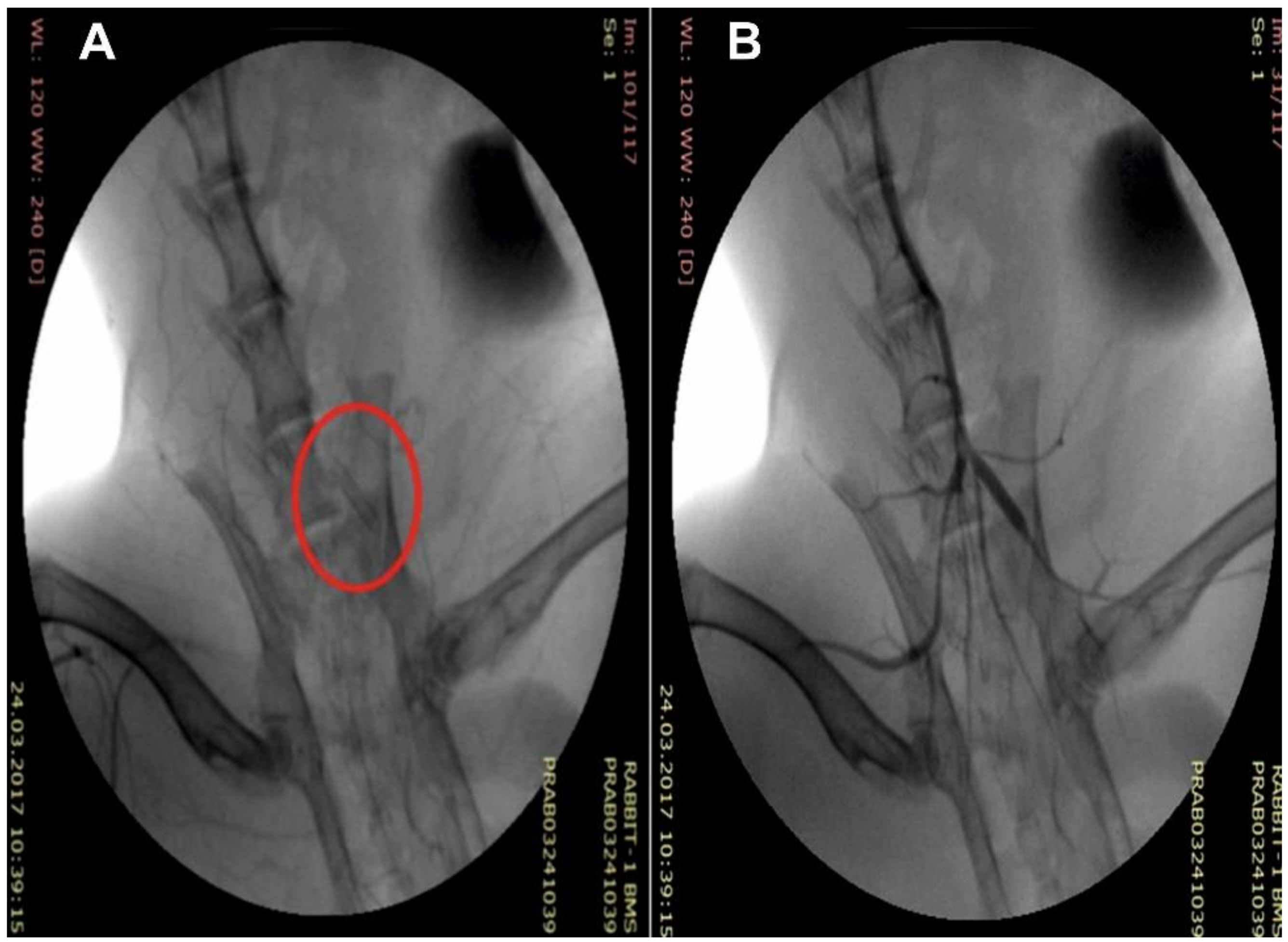 Polymers 12 01741 g003