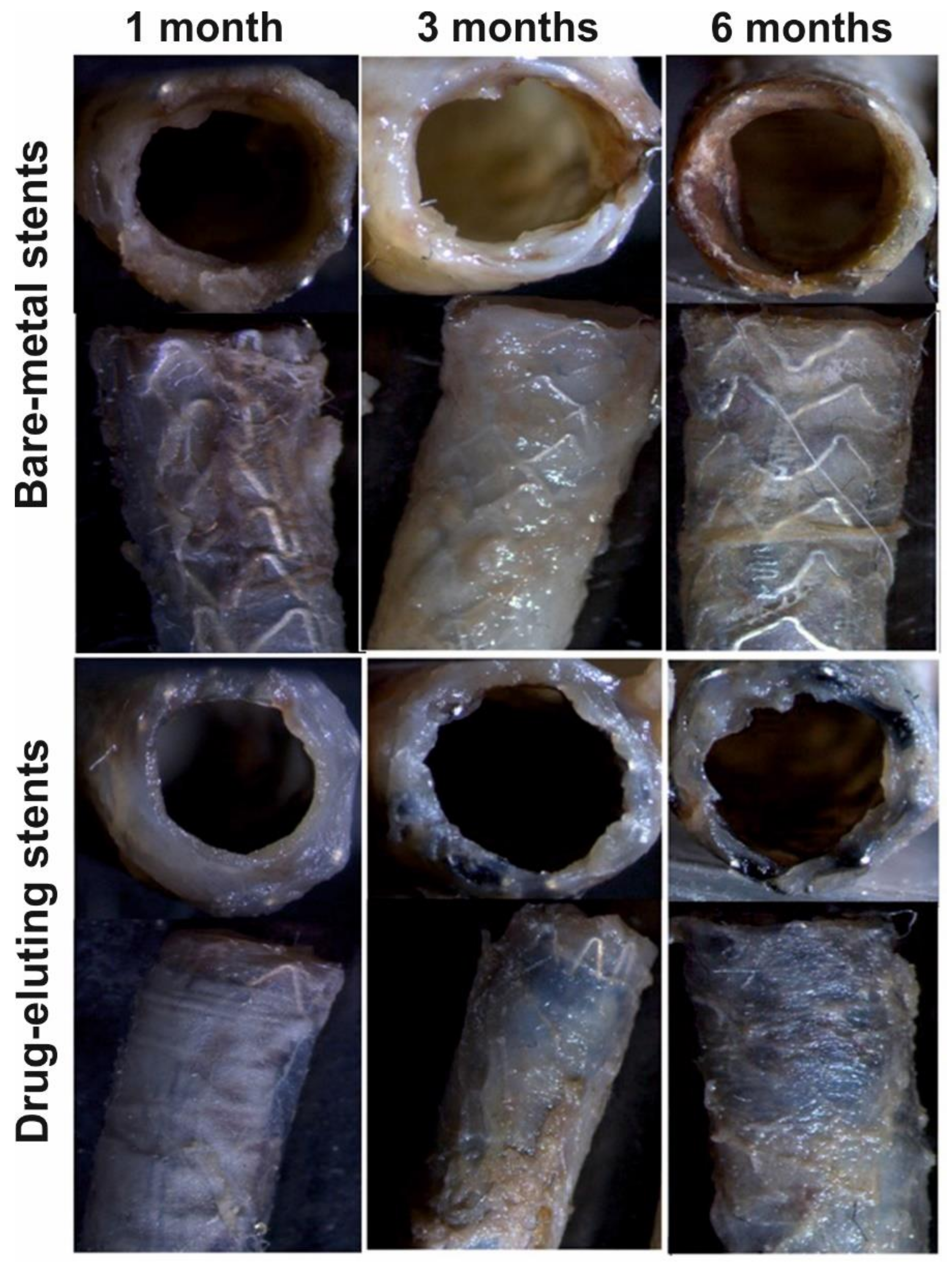 Polymers 12 01741 g005