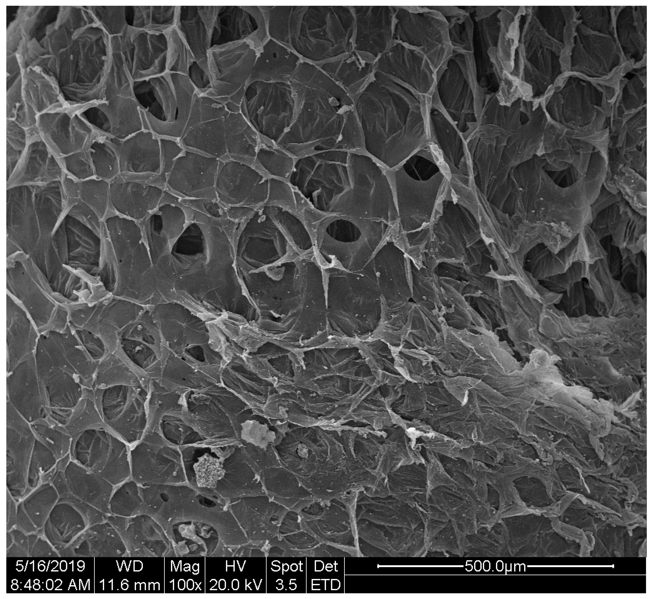 Polymers 12 01744 g001