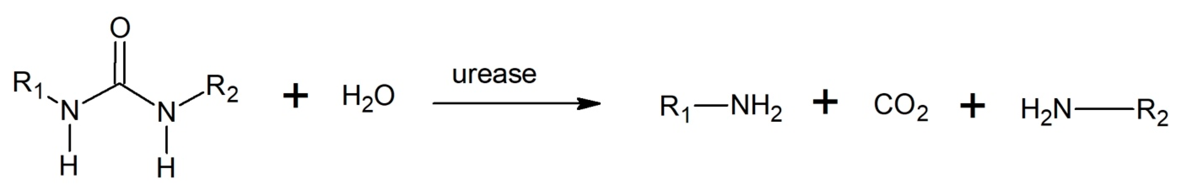 Polymers 12 01752 g008