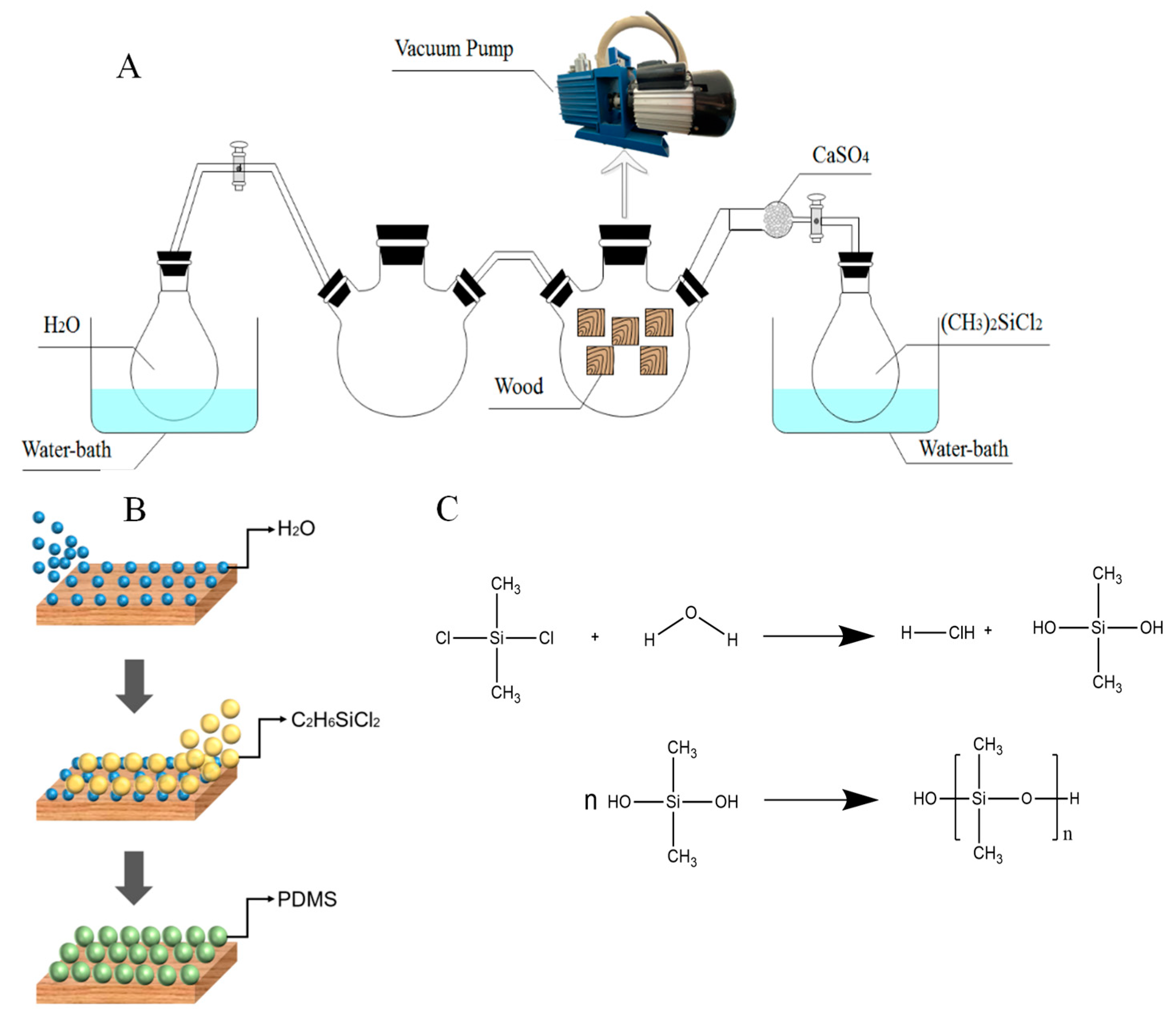 Polymers 12 01757 g002 Polymers 12 01757 g002