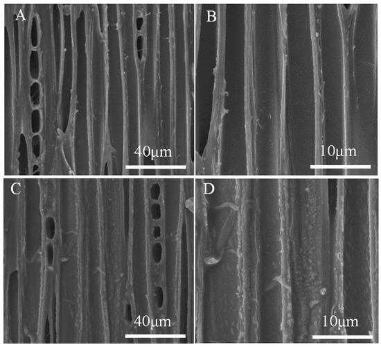 Novel Low-Temperature Chemical Vapor Deposition of Hydrothermal ...