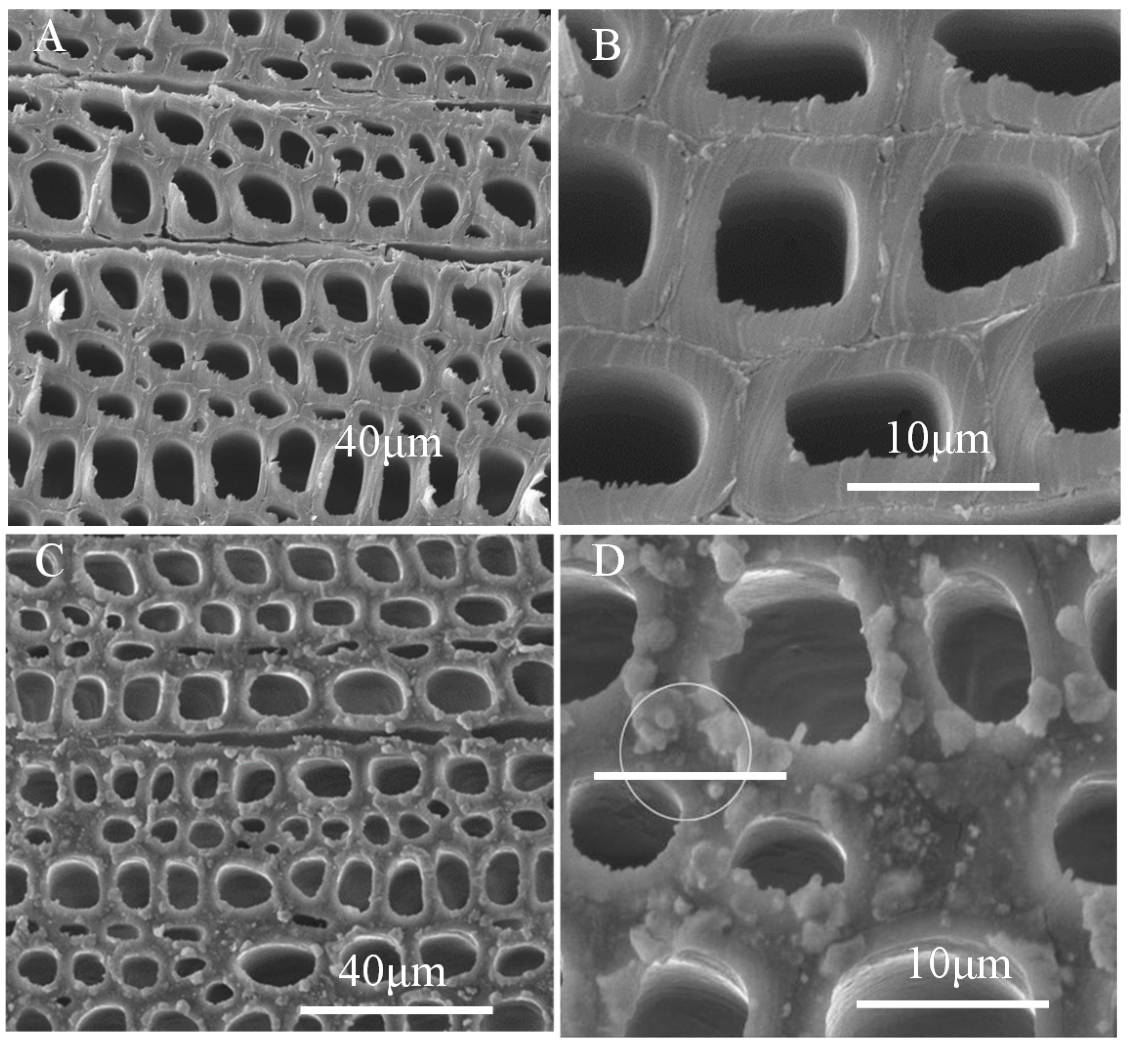Polymers 12 01757 g008 Polymers 12 01757 g008