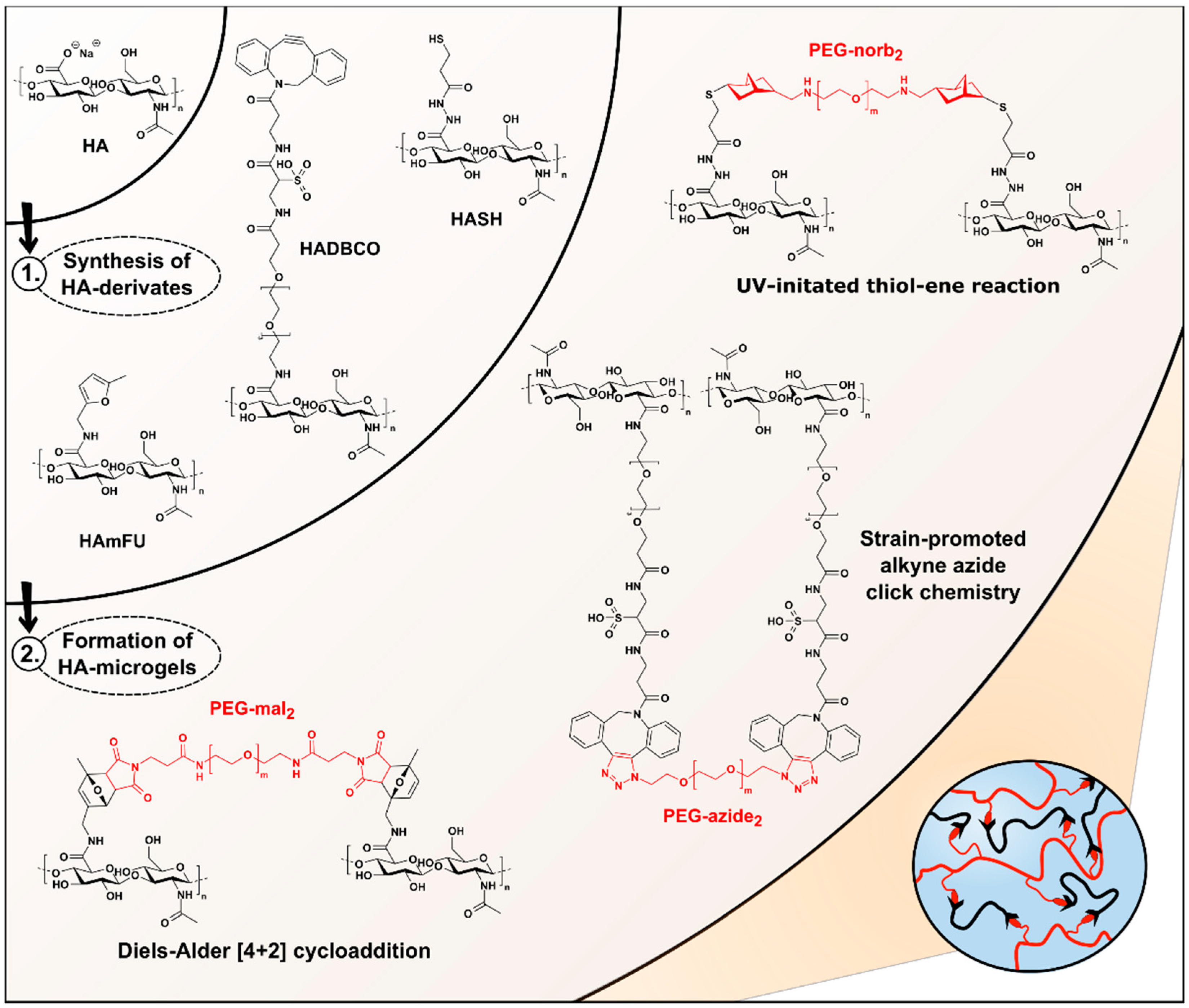 Polymers 12 01760 g001 Polymers 12 01760 g001