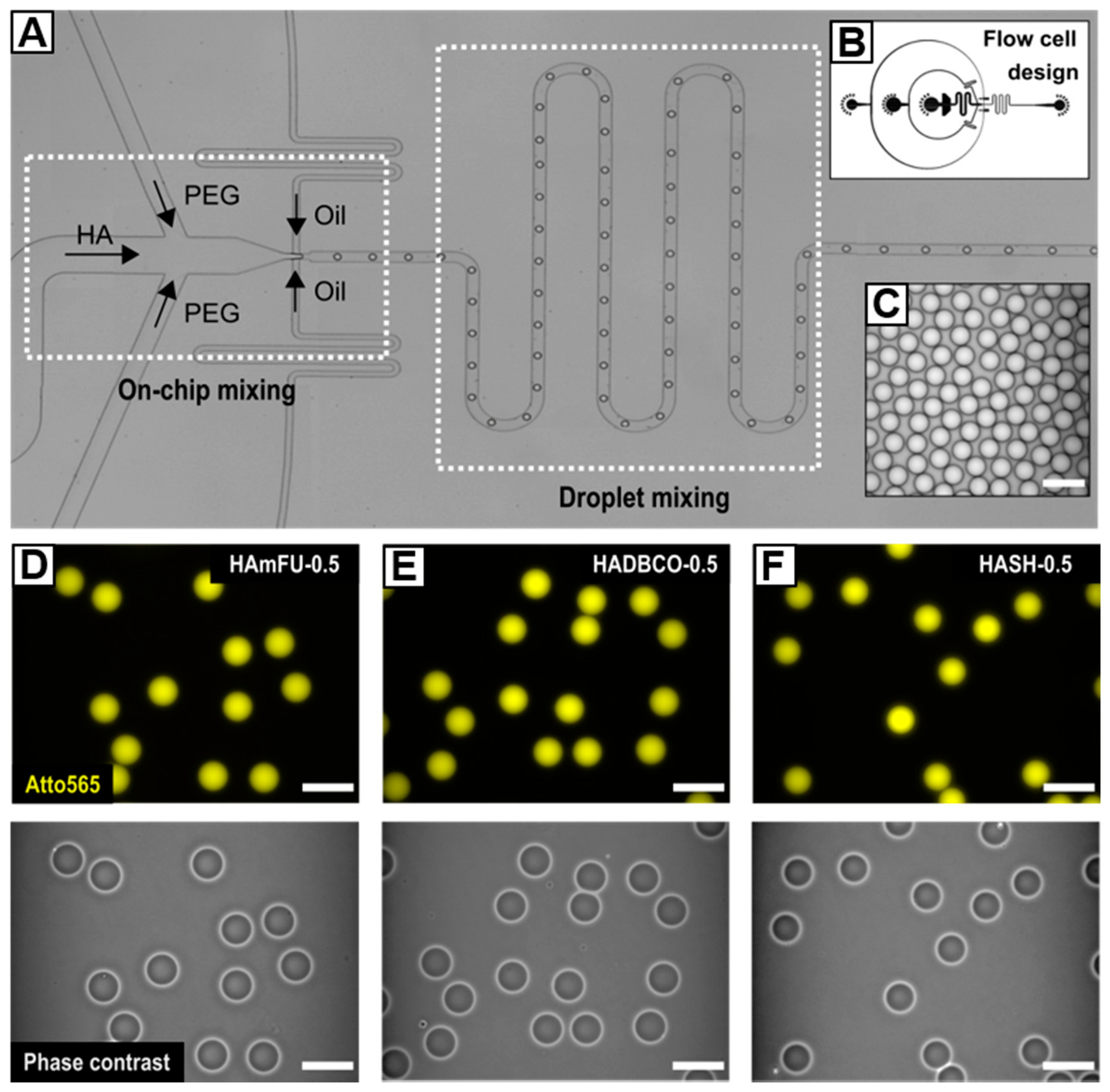 Polymers 12 01760 g002 Polymers 12 01760 g002