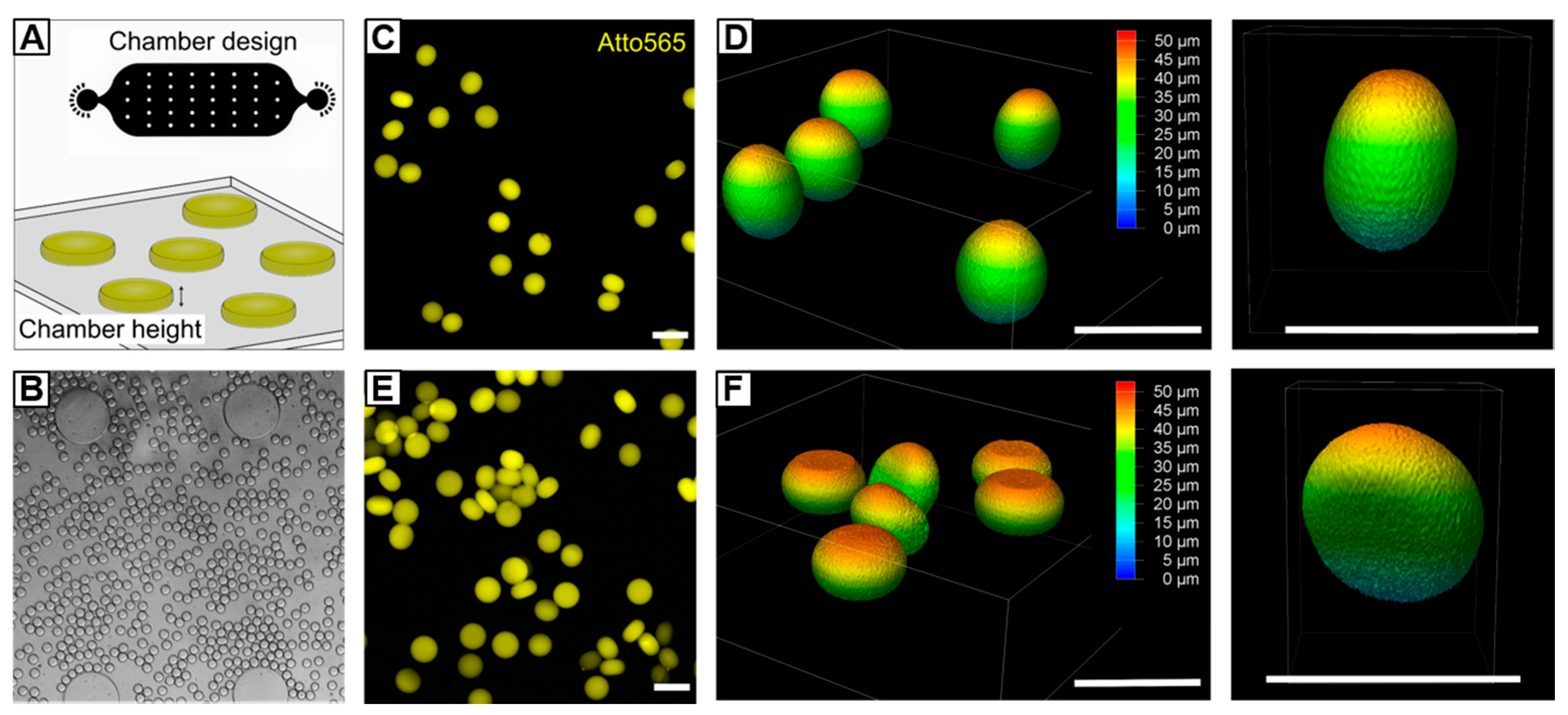 Polymers 12 01760 g008 Polymers 12 01760 g008