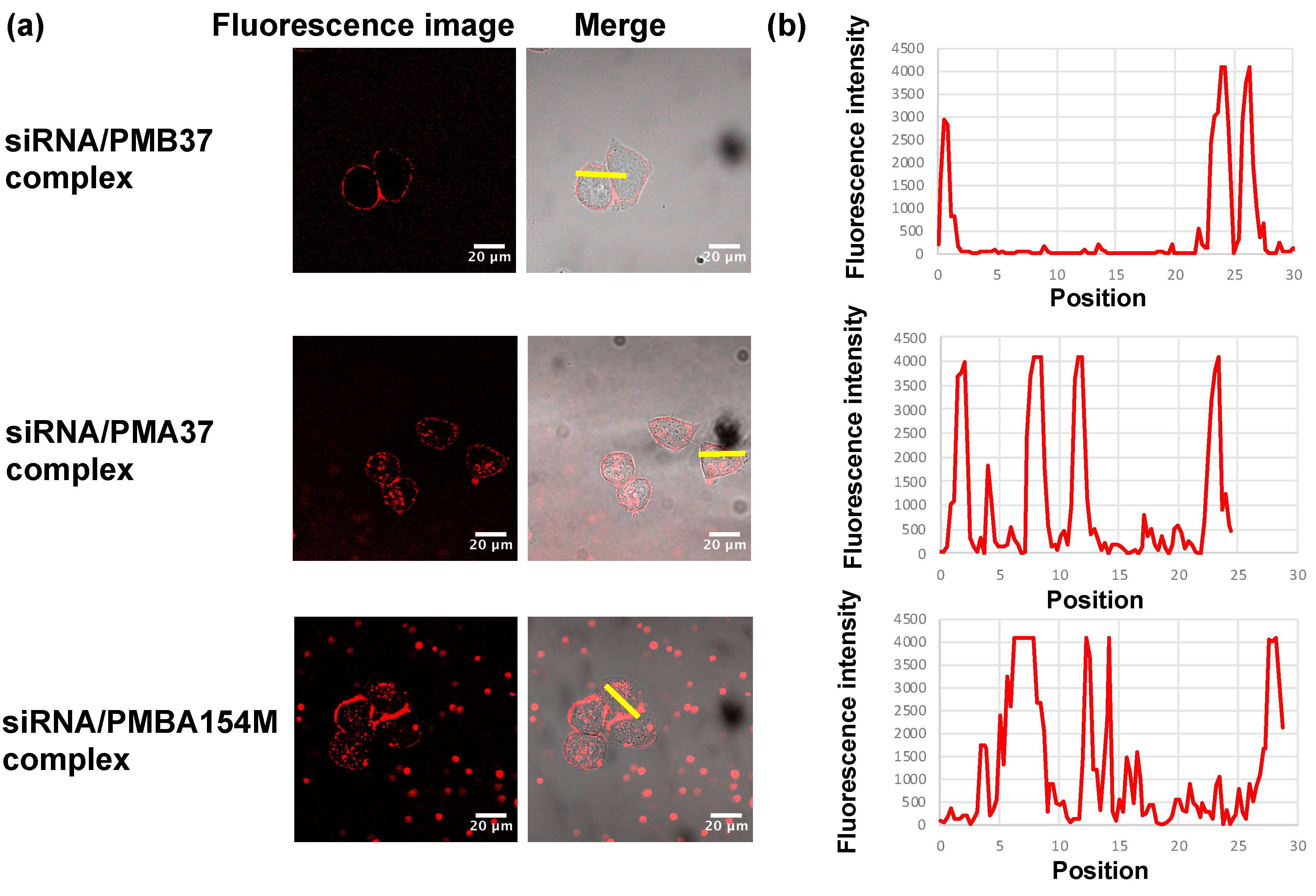 Polymers 12 01762 g005 Polymers 12 01762 g005