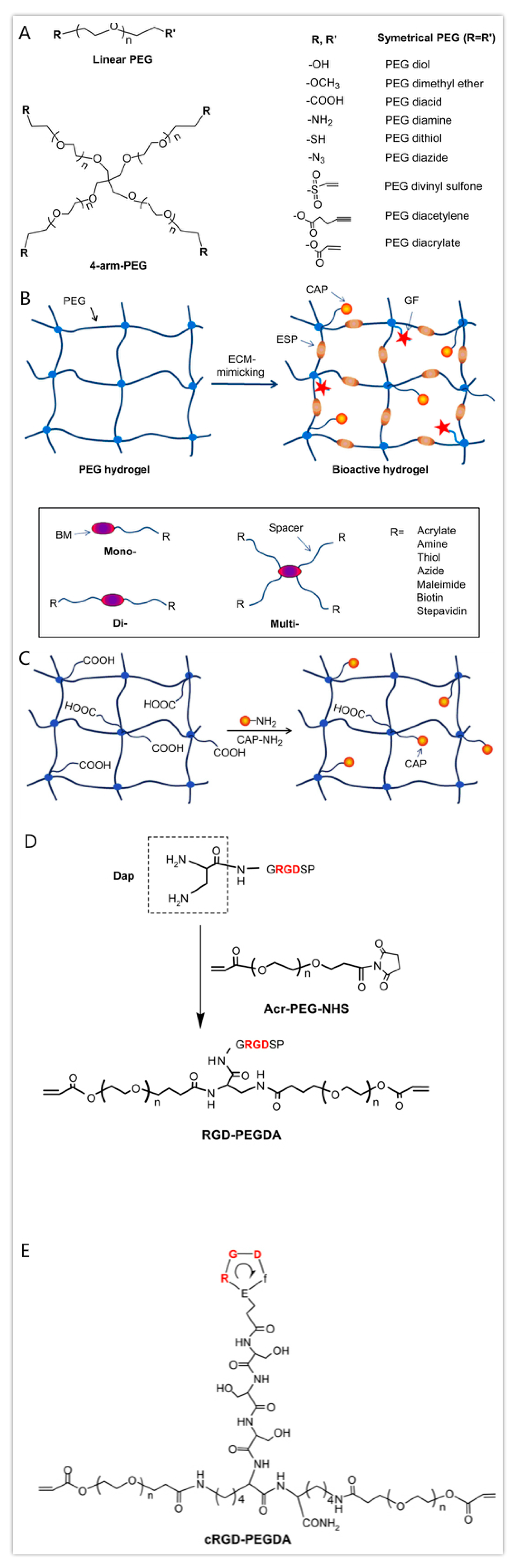 Polymers 12 01765 g008