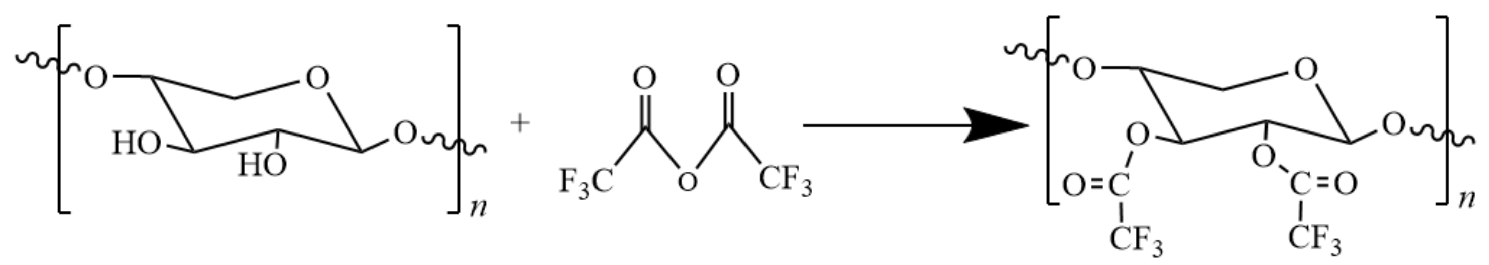 Polymers 12 01775 g004