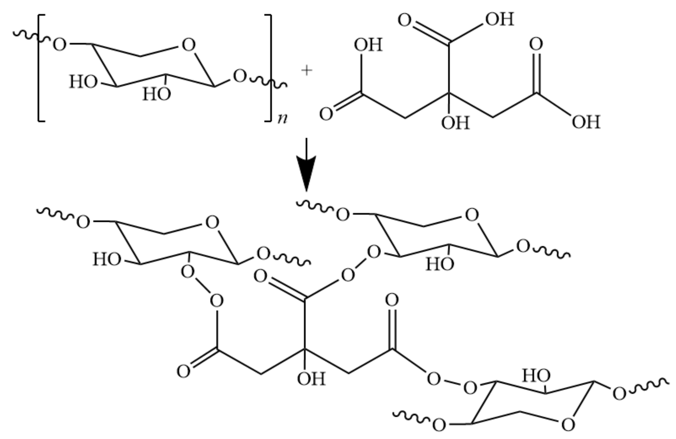 Polymers 12 01775 g007