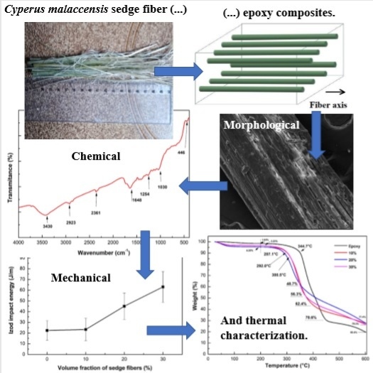 Polymers Free Full Text Promising Mechanical Thermal And Ballistic Properties Of Novel Epoxy Composites Reinforced With Cyperus Malaccensis Sedge Fiber Html