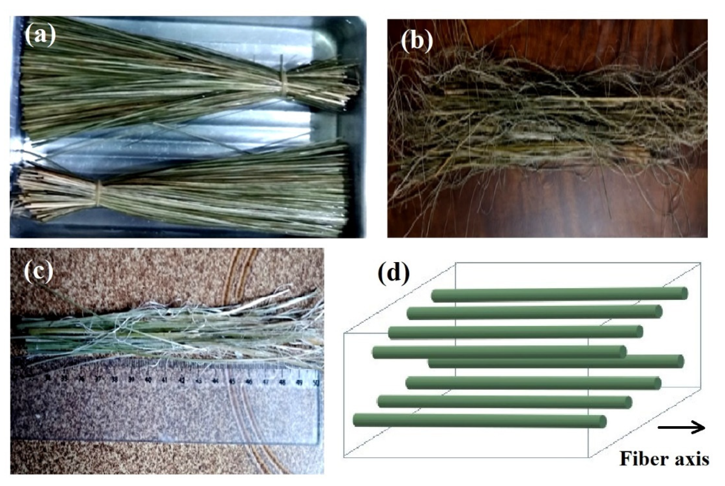 Polymers 12 01776 g001