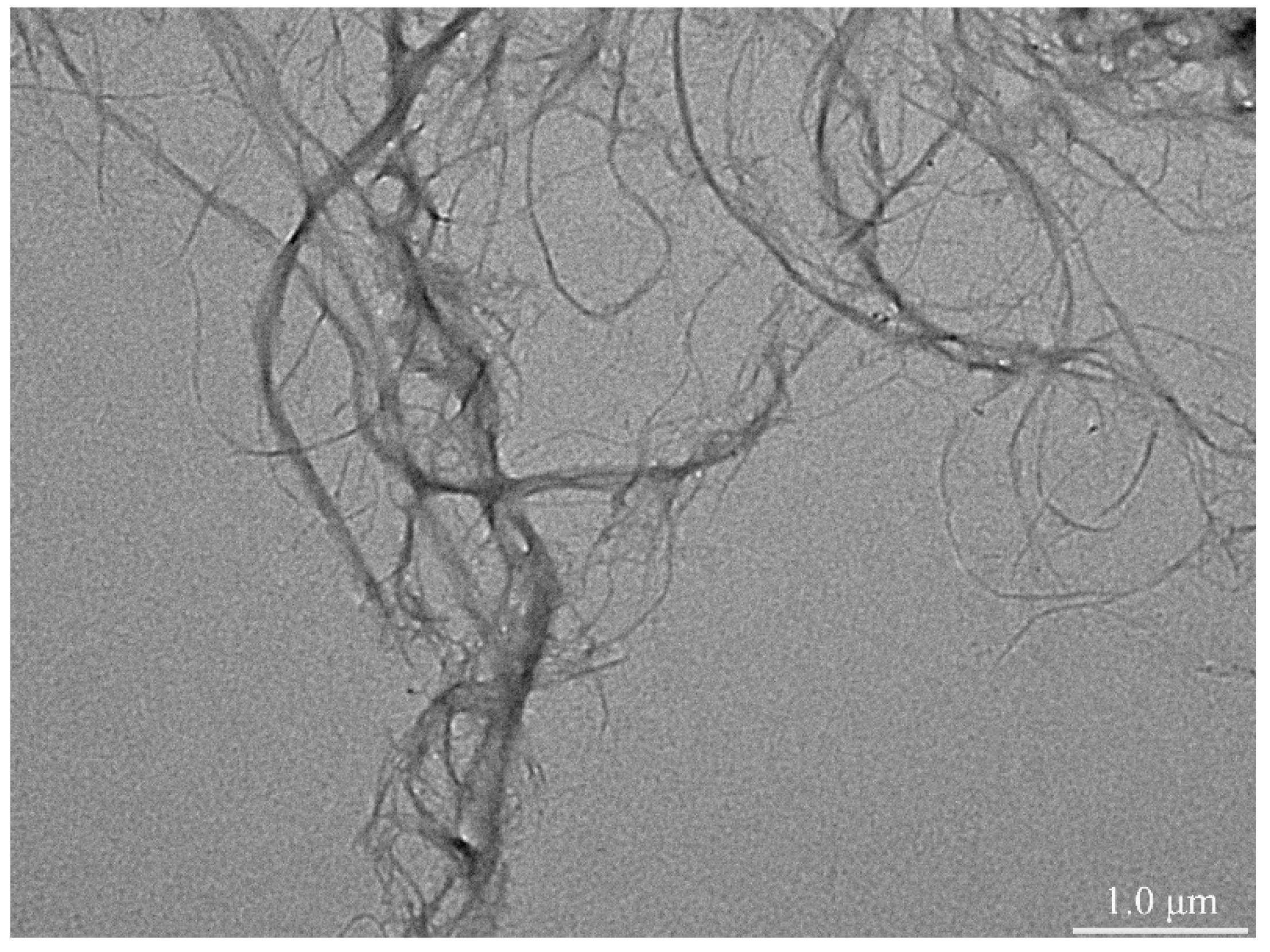 Polymers 12 01780 g001