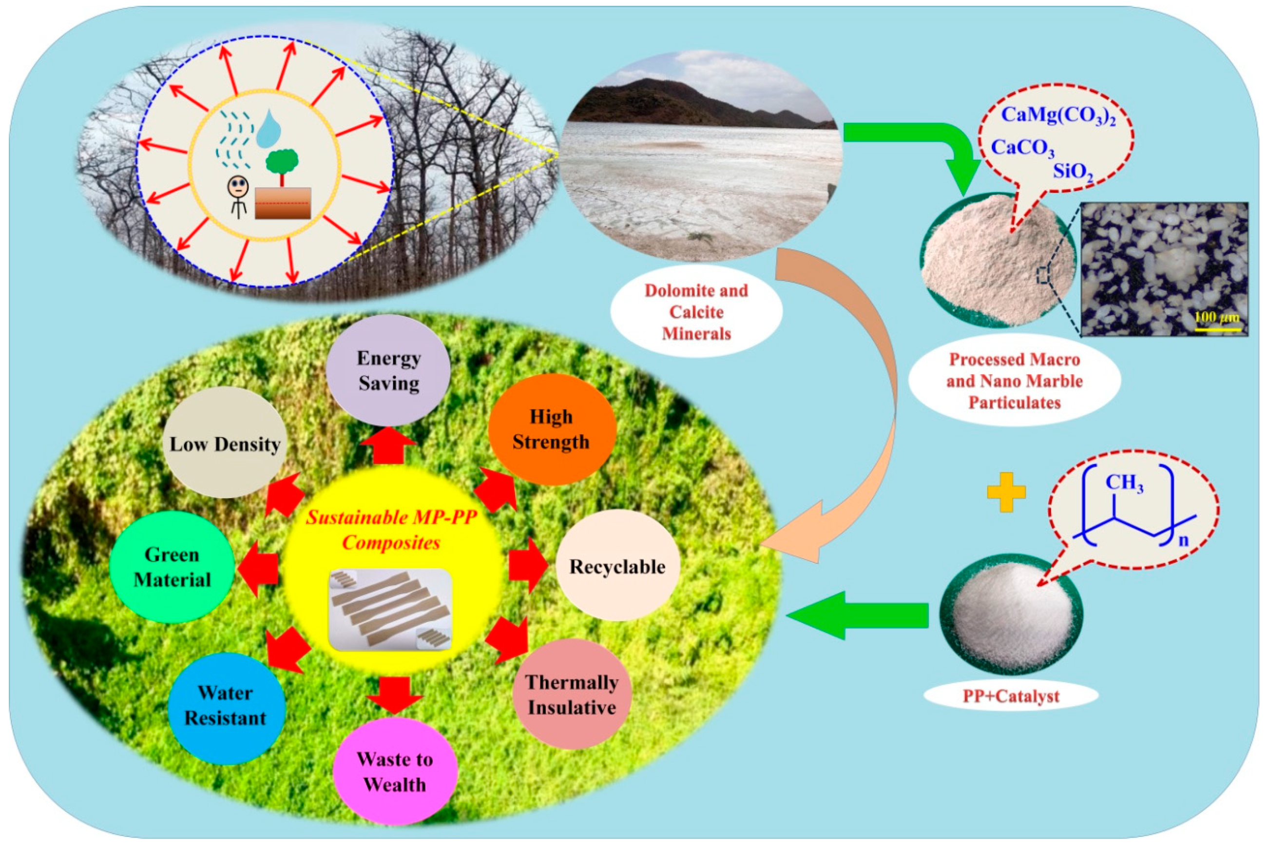 Polymers 12 01781 g001