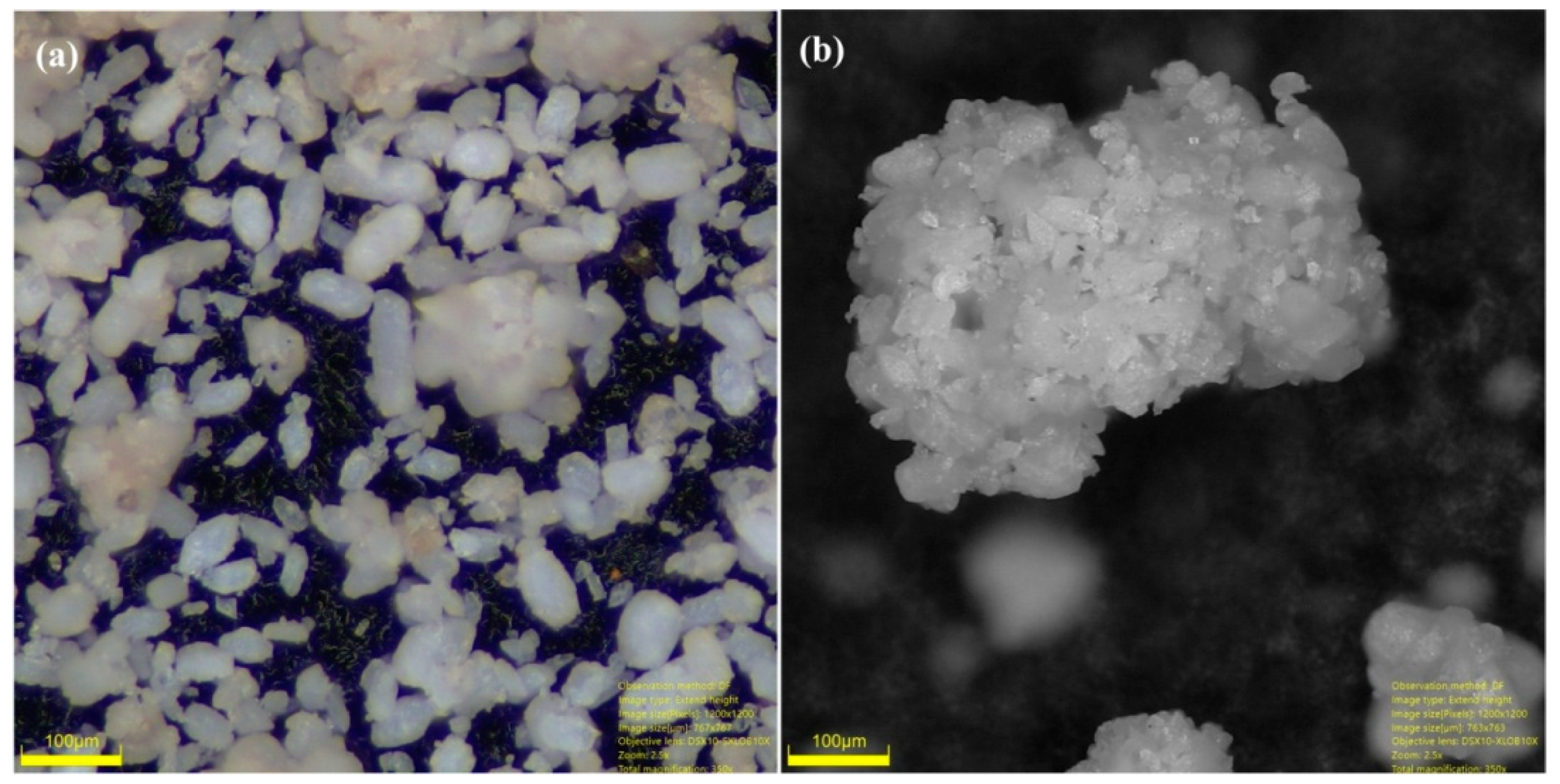 Polymers 12 01781 g004
