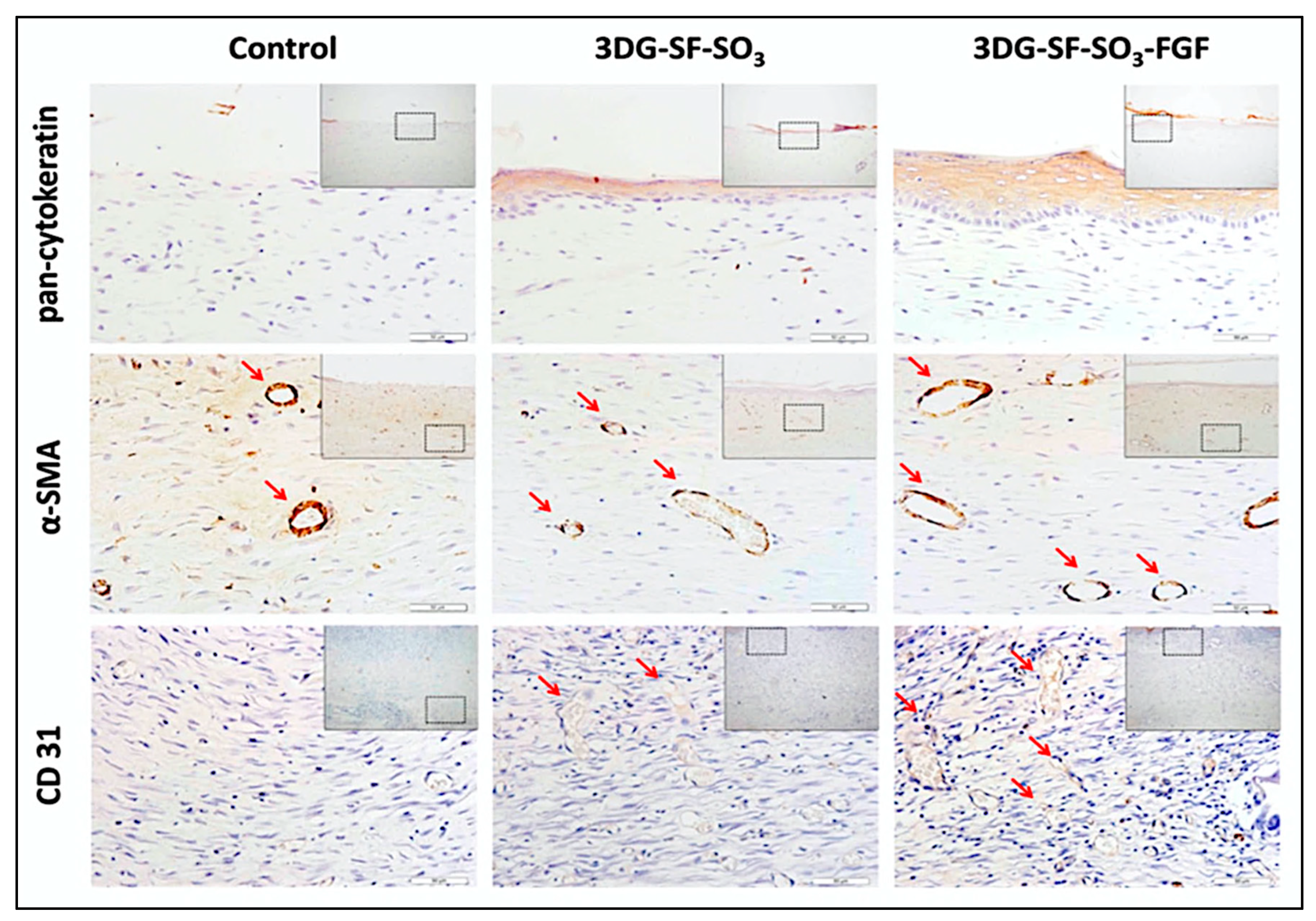 Polymers 12 01782 g003