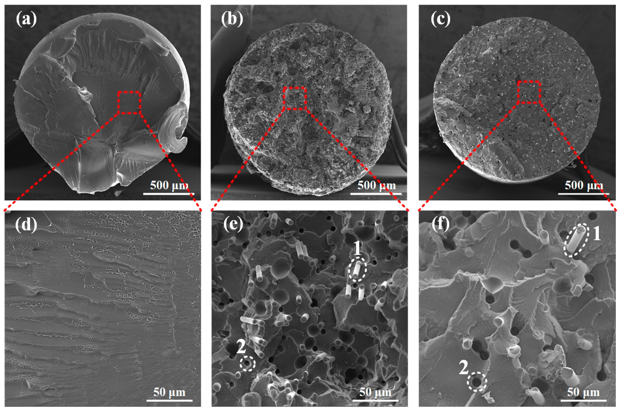 Polymers 12 01783 g004 Polymers 12 01783 g004