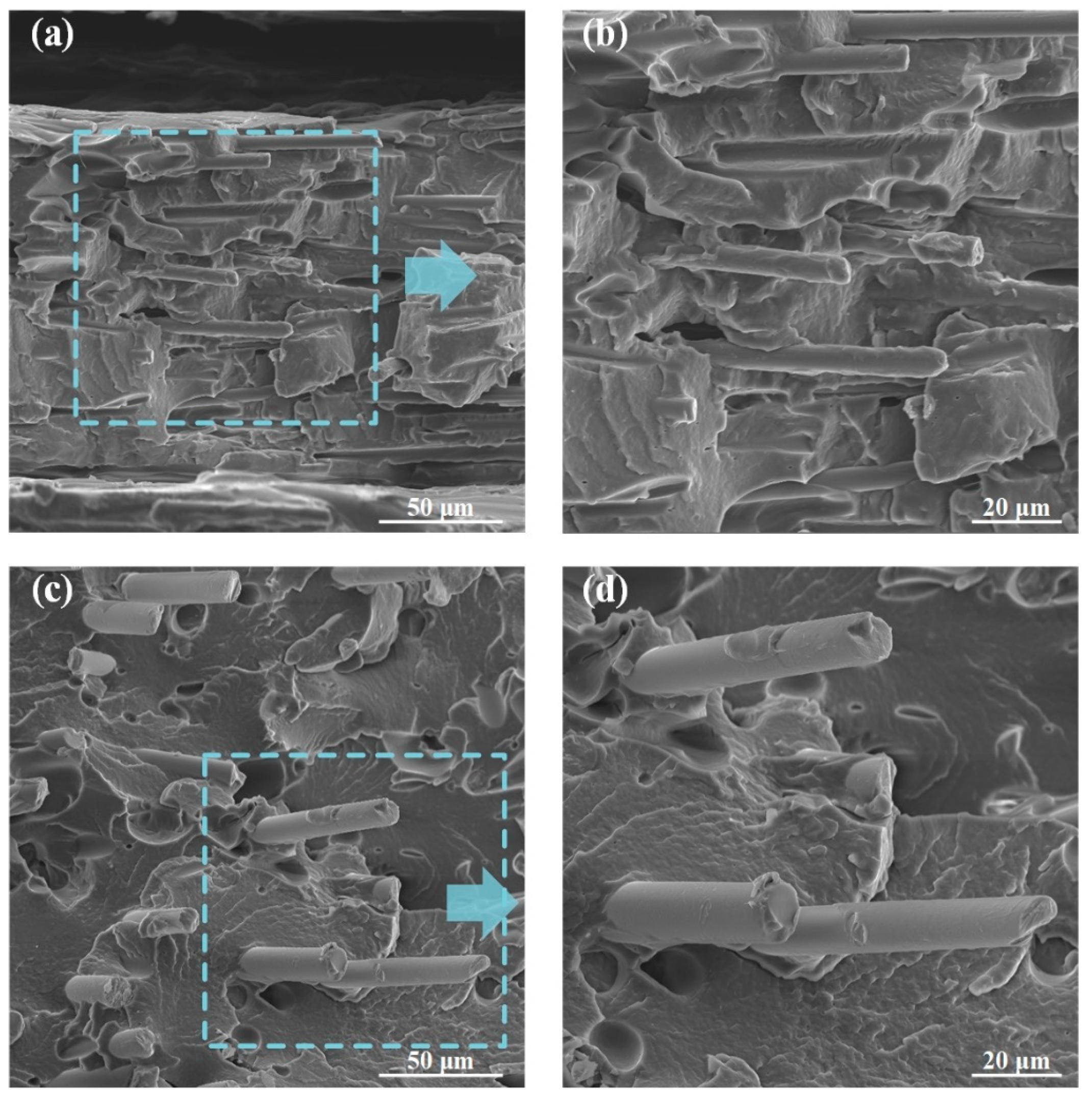 Polymers 12 01783 g007 Polymers 12 01783 g007