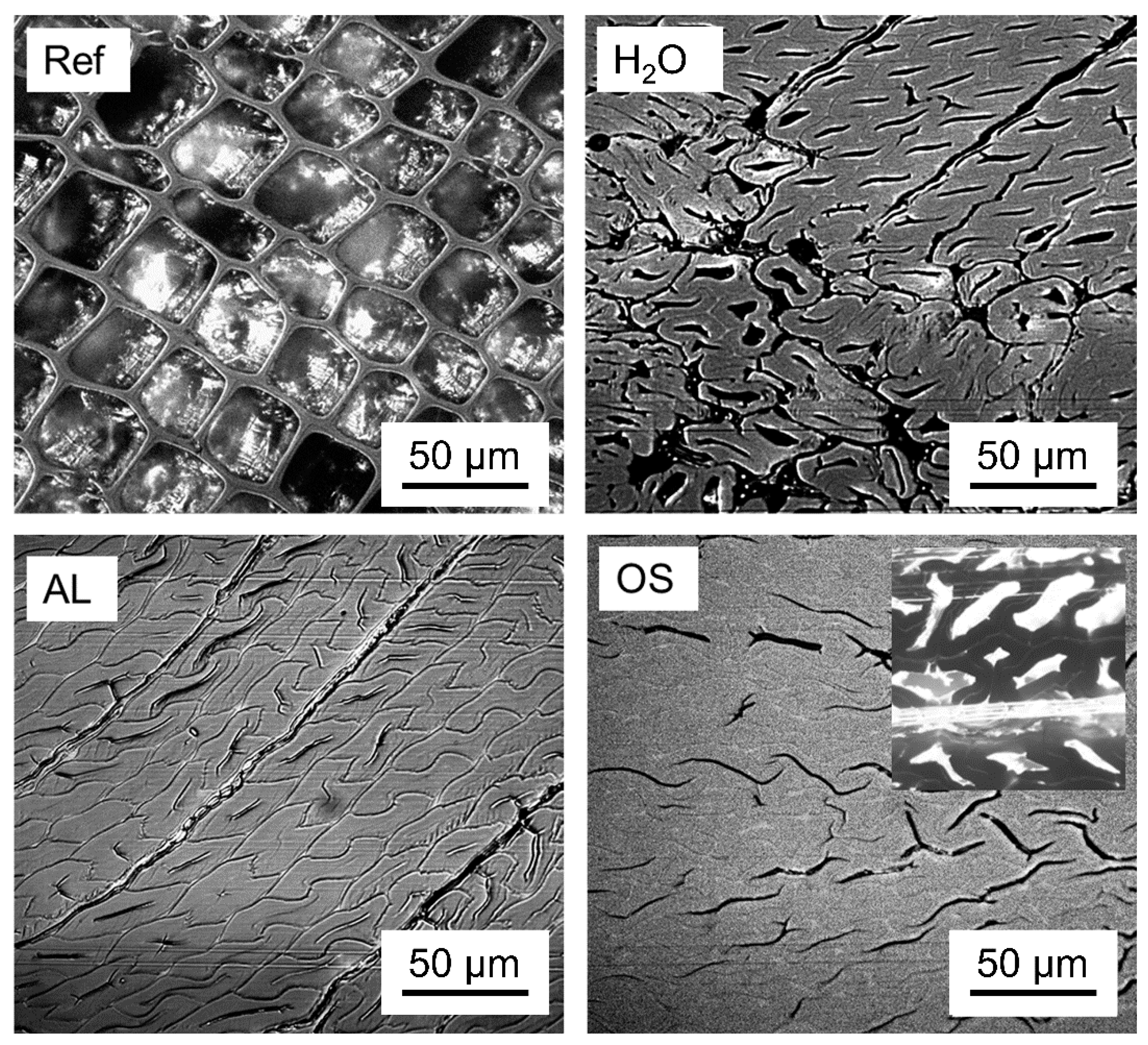 Polymers 12 01796 g001