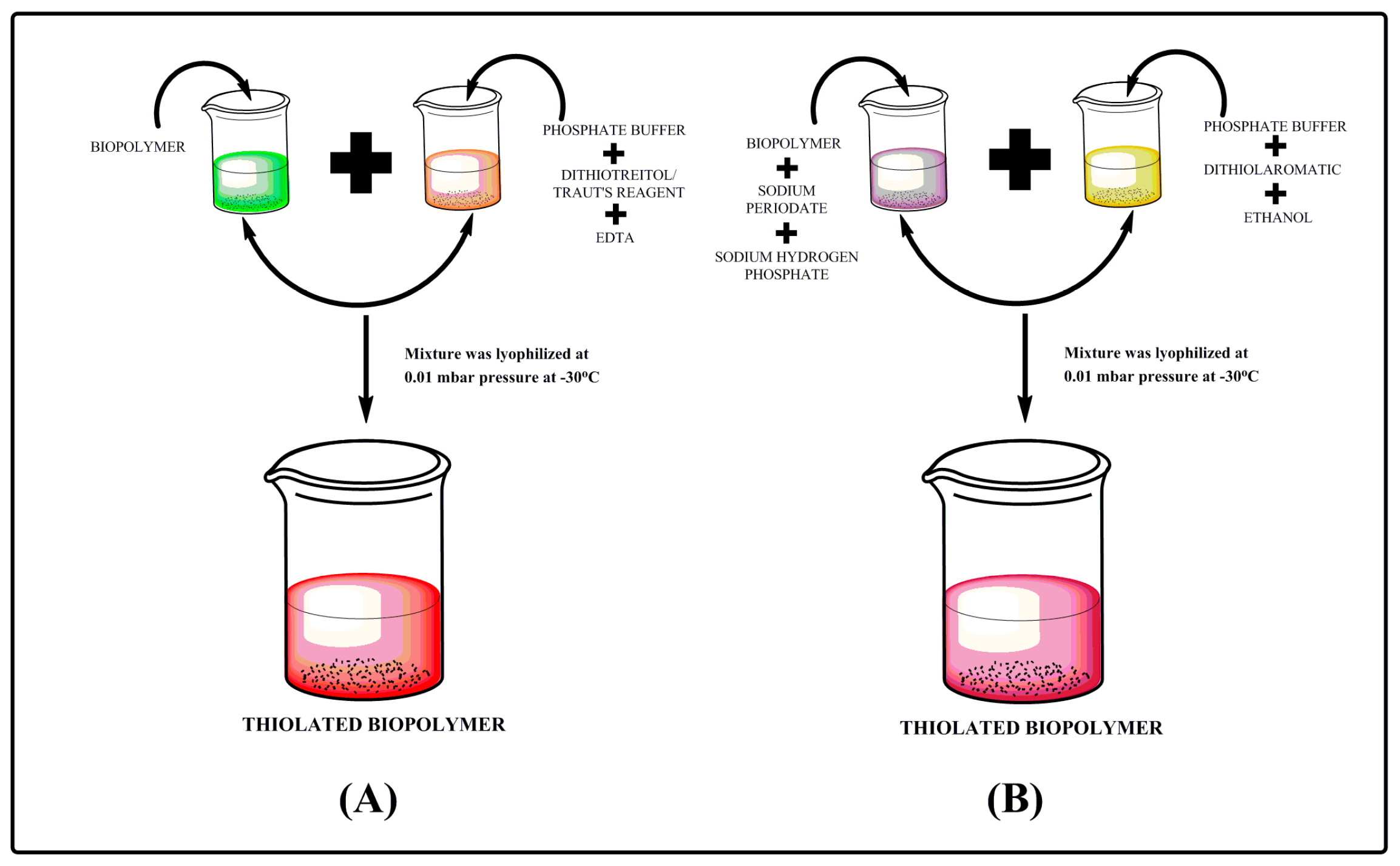 Polymers 12 01803 g002