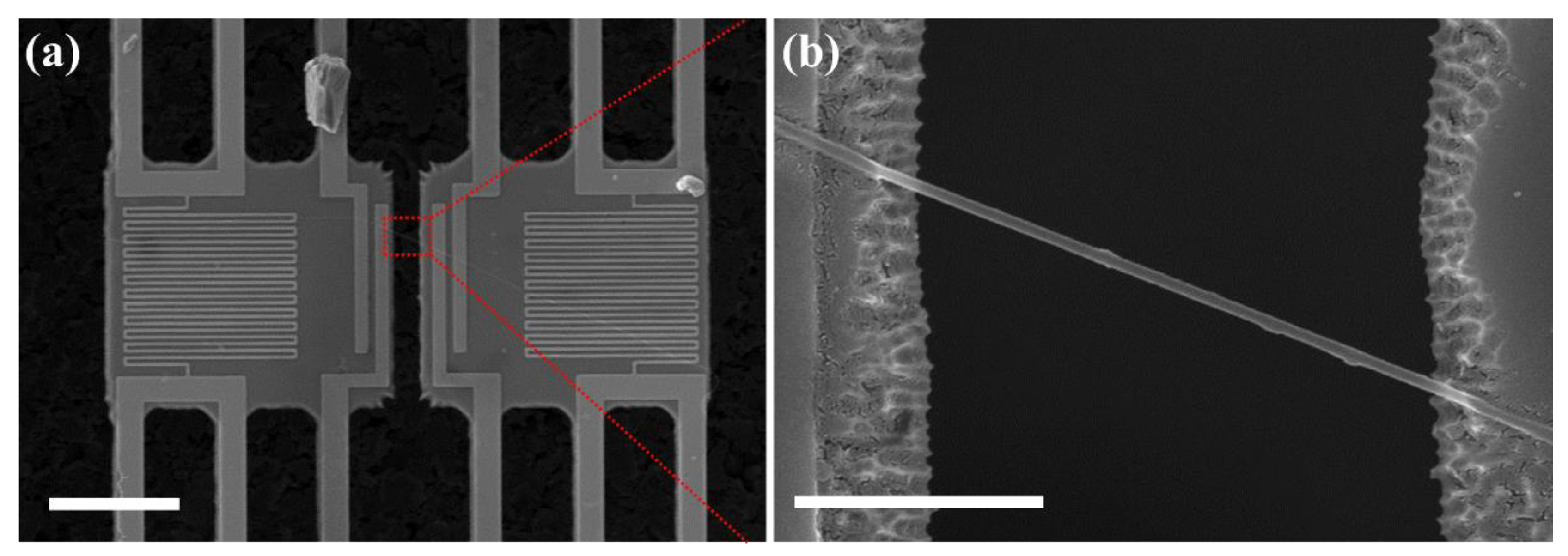 Polymers 12 01805 g002 Polymers 12 01805 g002