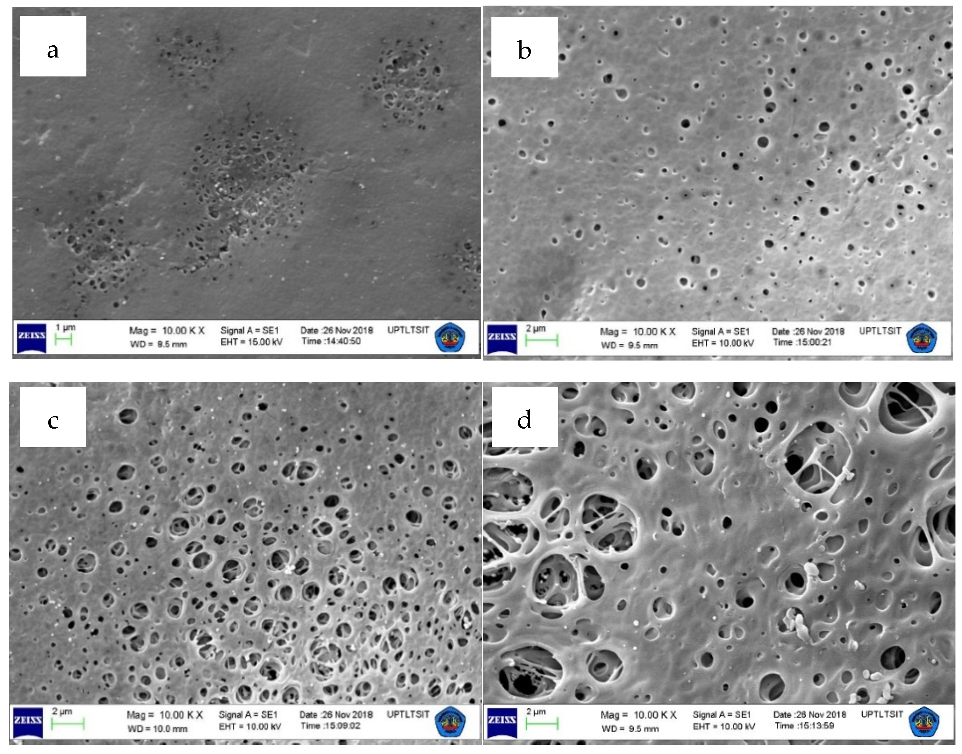 Polymers 12 01807 g004