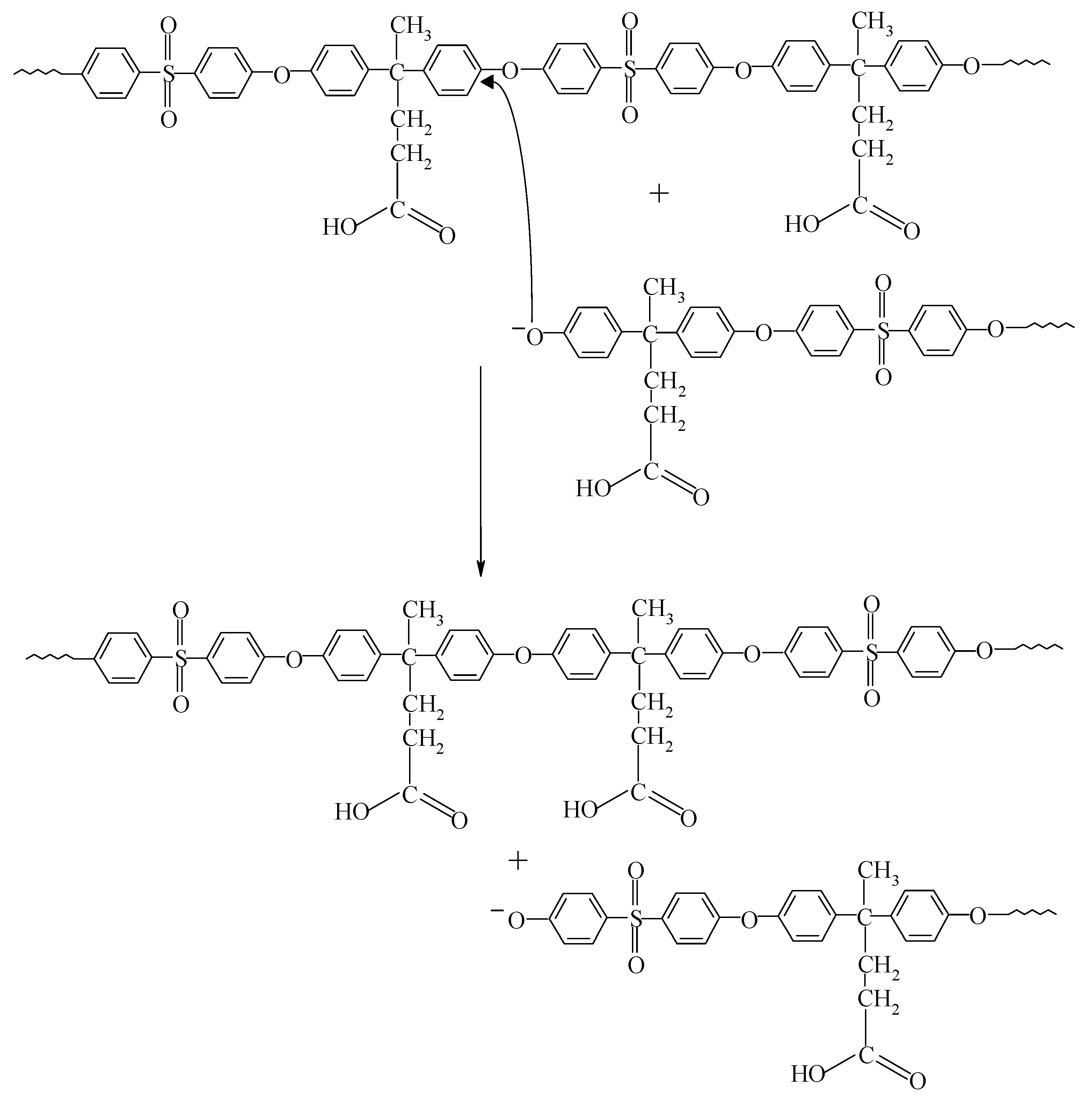Polymers 12 01810 sch005 Polymers 12 01810 sch005