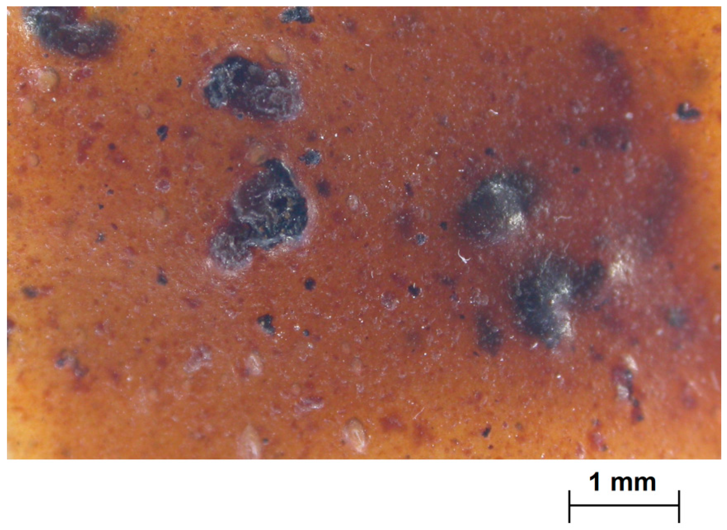 Polymers 12 01811 g003 Polymers 12 01811 g003