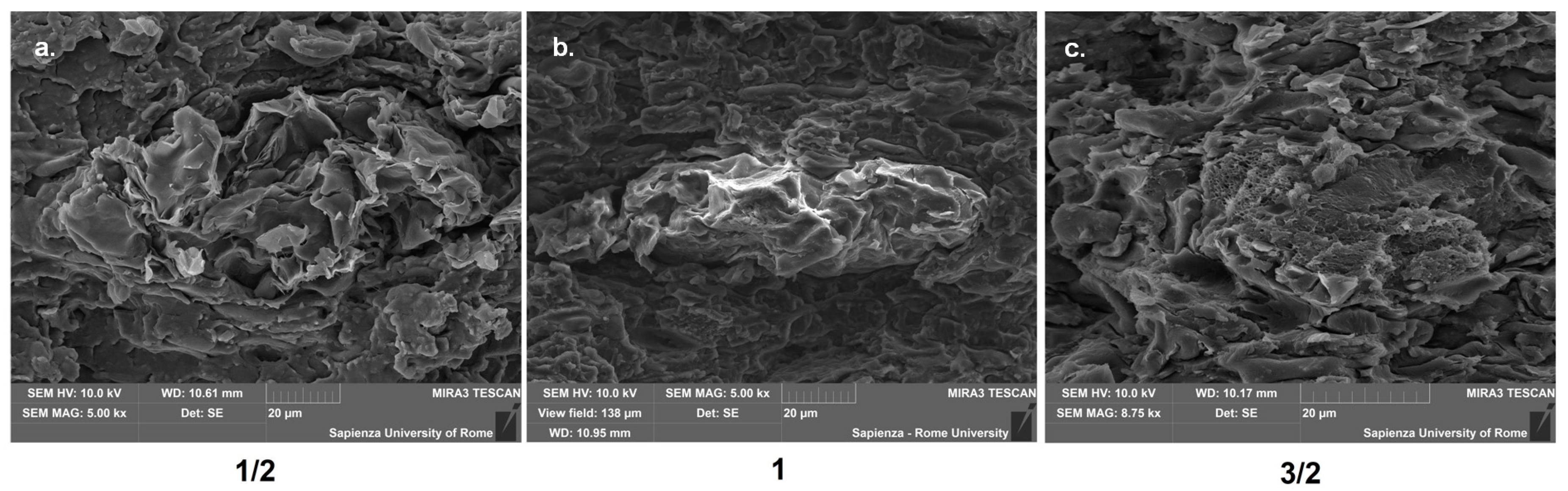 Polymers 12 01811 g009 Polymers 12 01811 g009