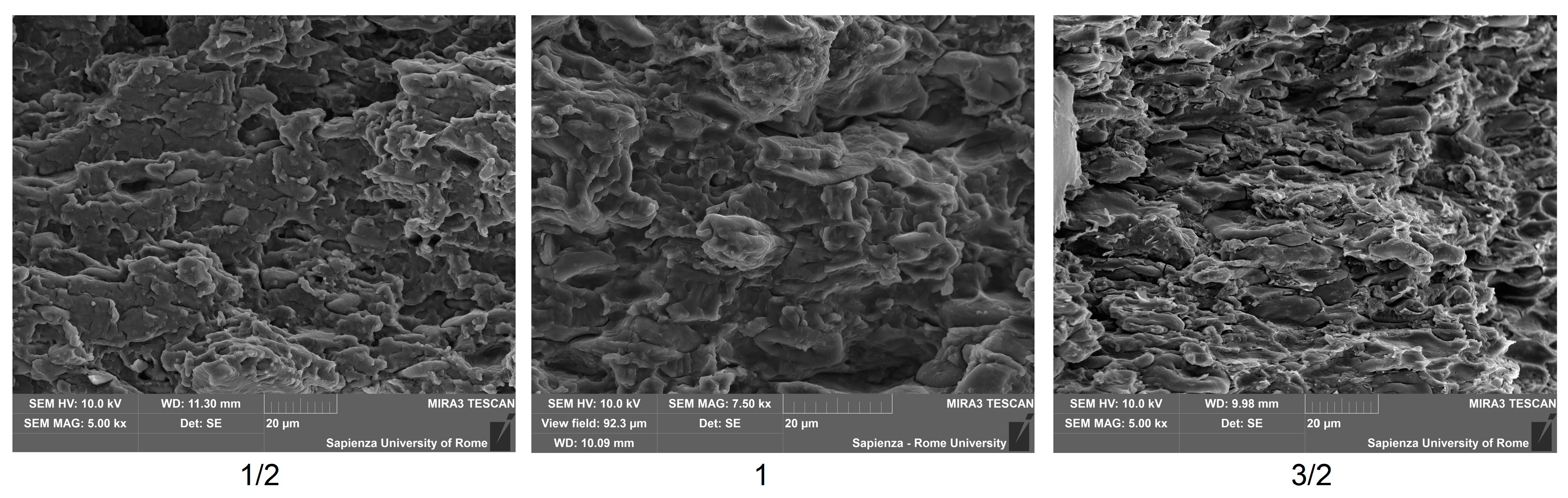 Polymers 12 01811 g010 Polymers 12 01811 g010