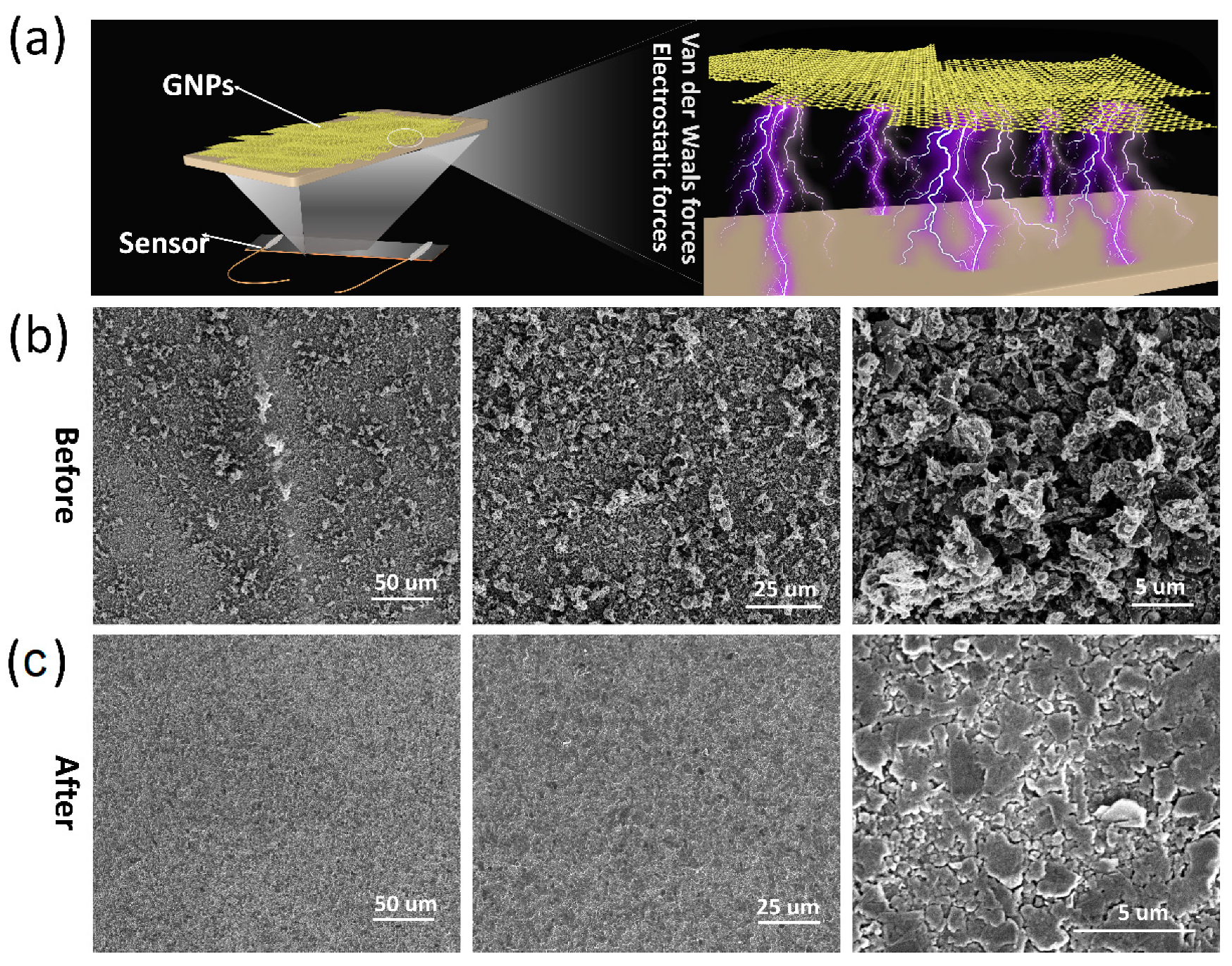Polymers 12 01814 g002 Polymers 12 01814 g002
