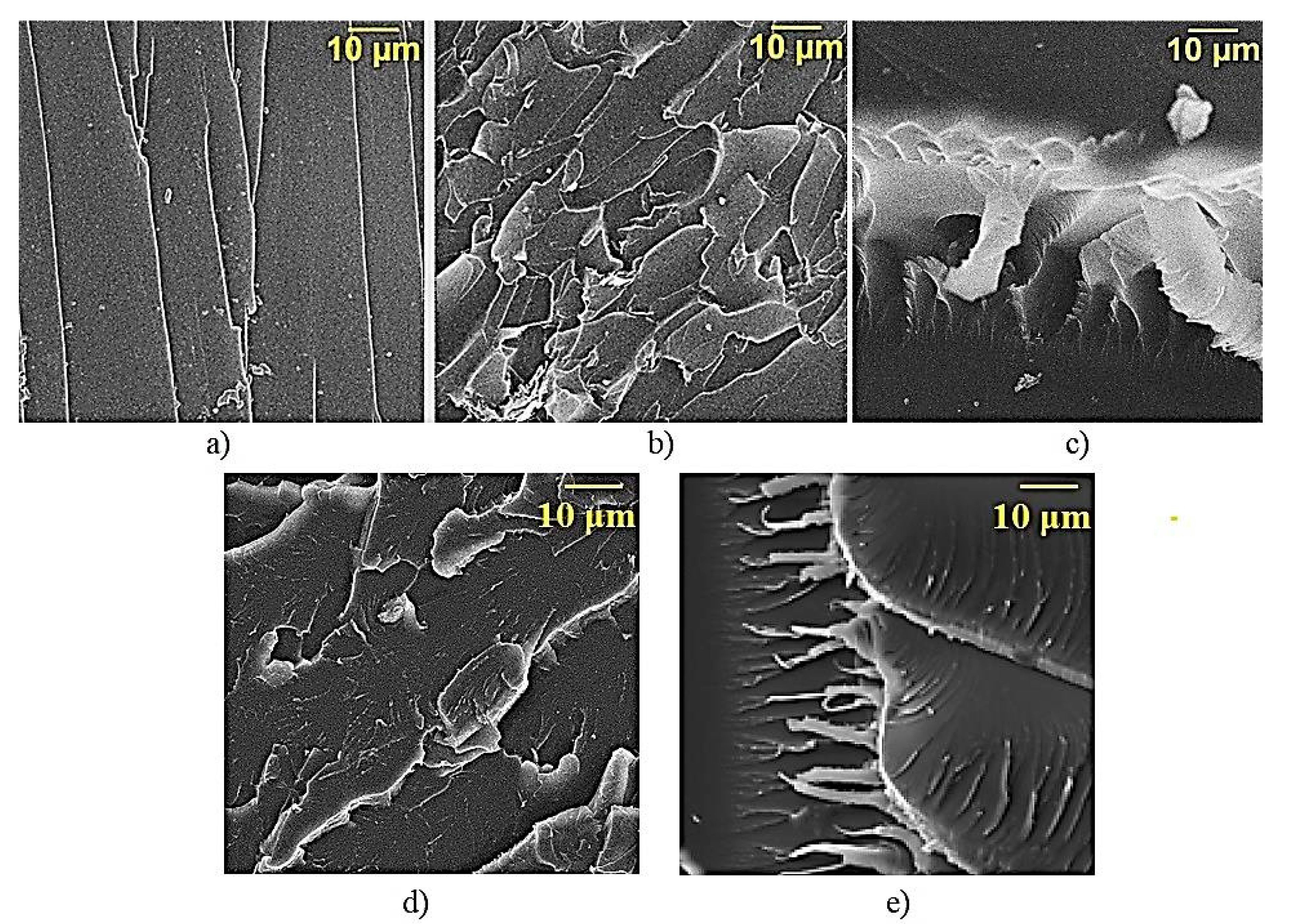 Polymers 12 01816 g009