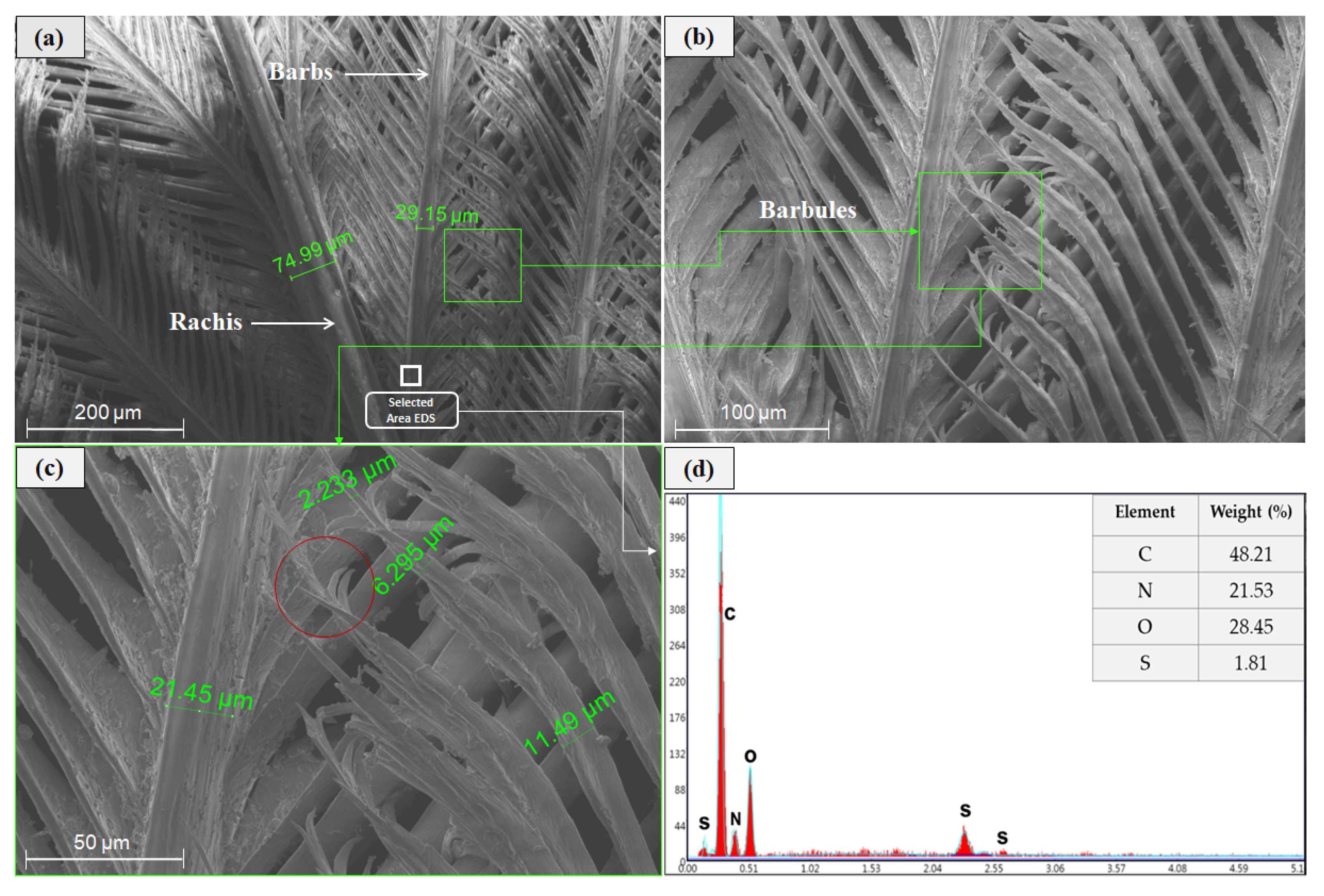 Polymers 12 01819 g004 Polymers 12 01819 g004