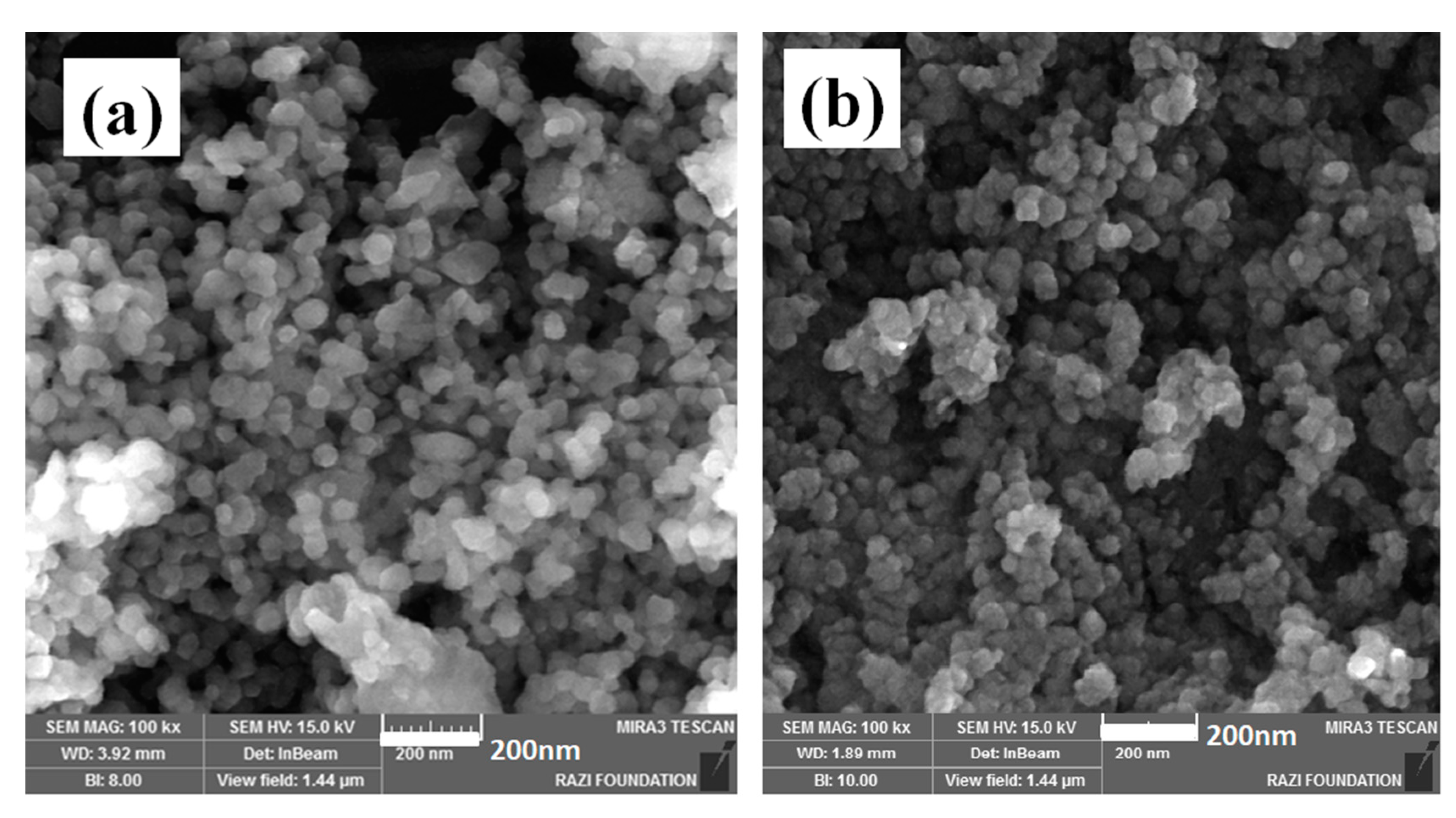 Polymers 12 01820 g003 Polymers 12 01820 g003