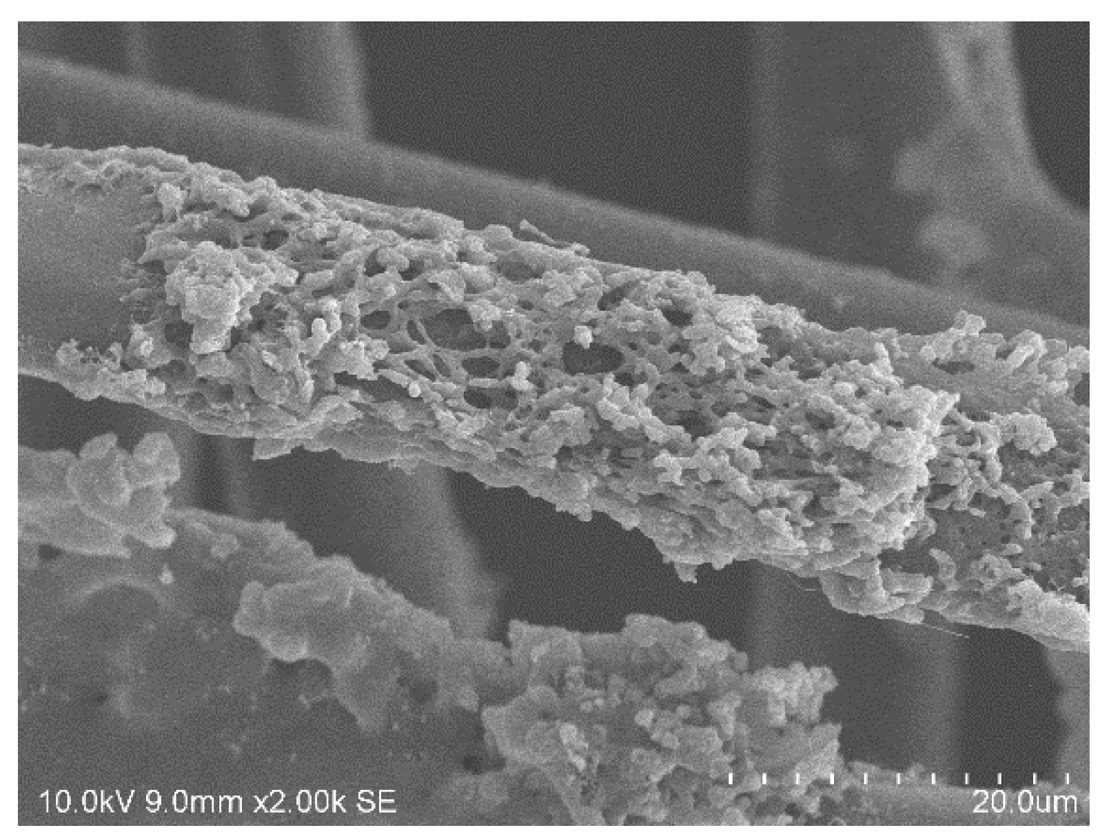 Polymers 12 01824 g002