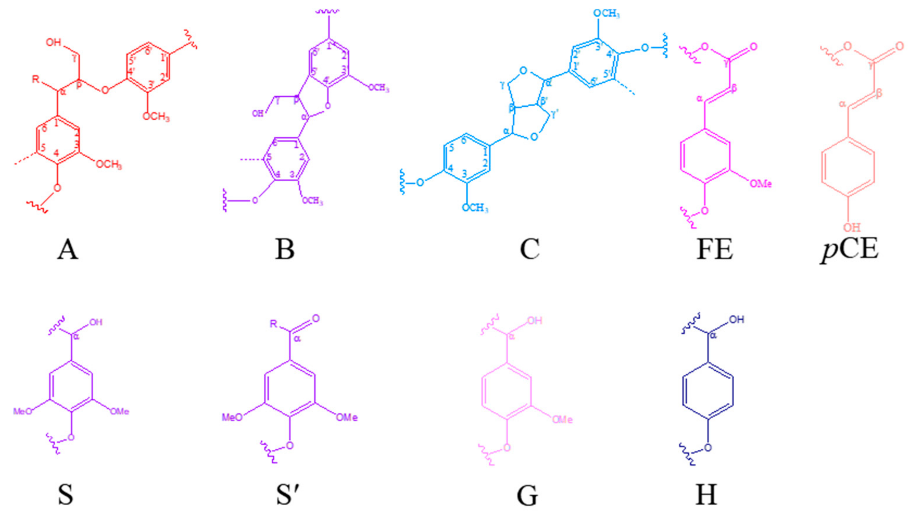 Polymers 12 01825 g003