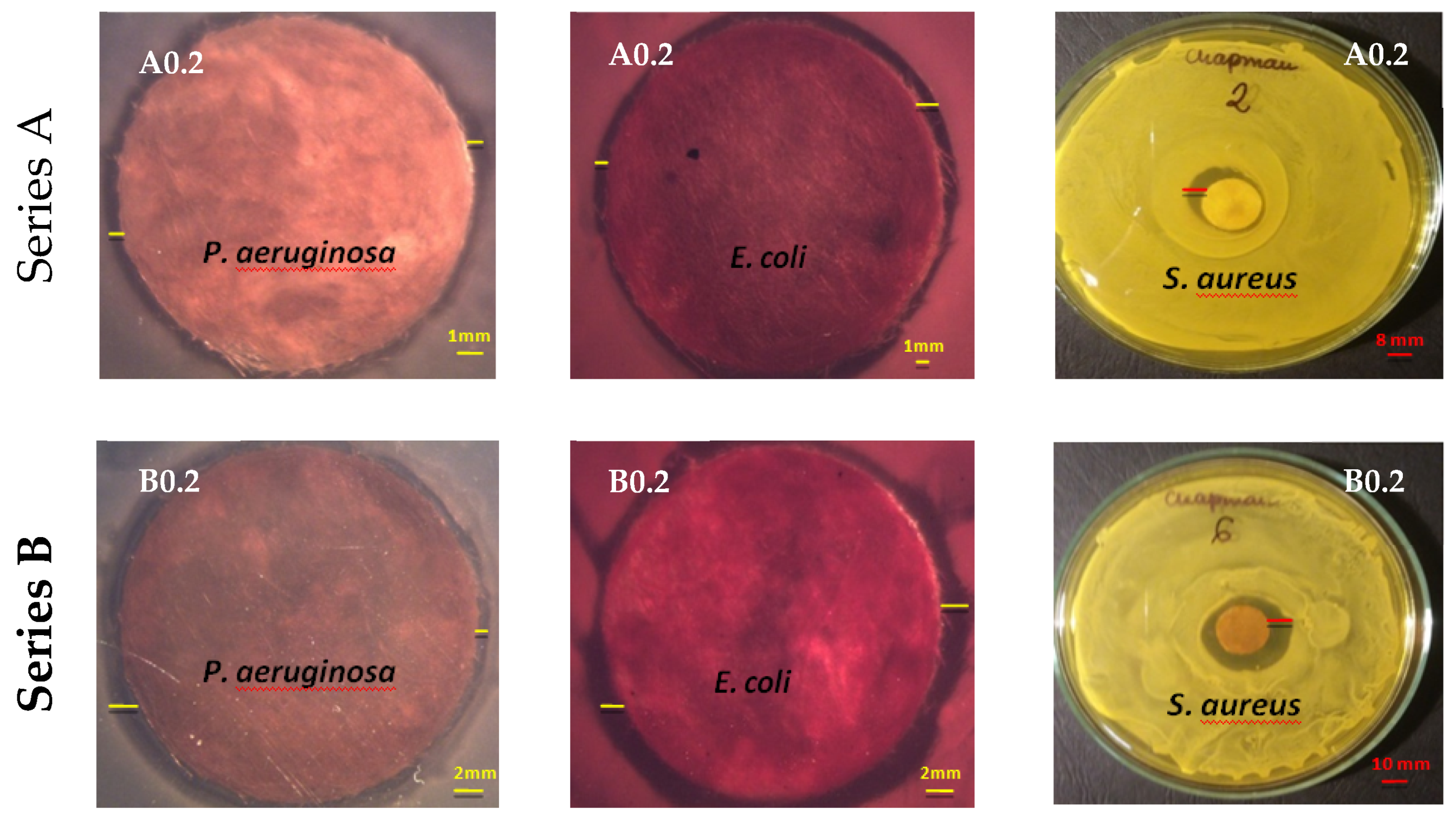 Polymers 12 01827 g013 Polymers 12 01827 g013